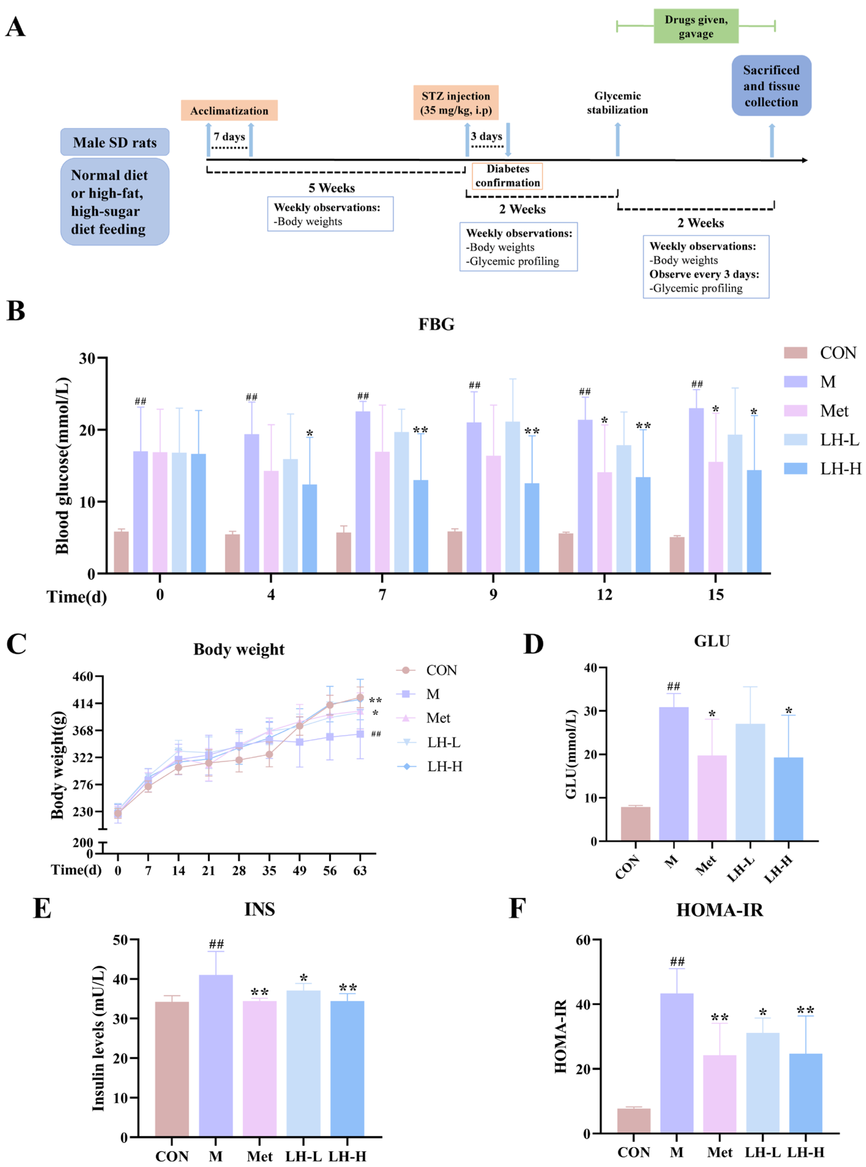 Foods 14 02945 g001 Foods 14 02945 g001