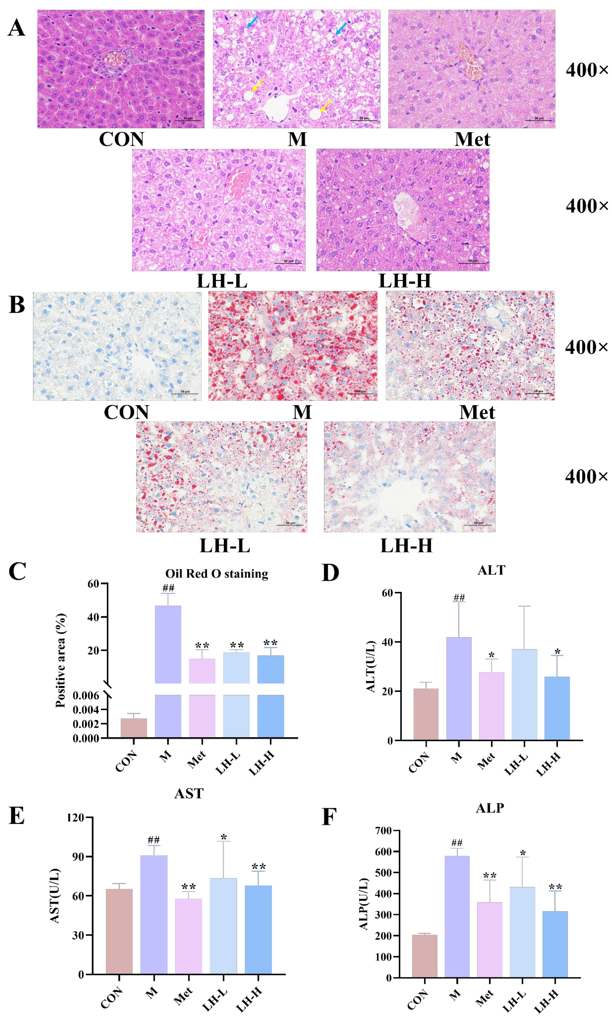 Foods 14 02945 g002 Foods 14 02945 g002