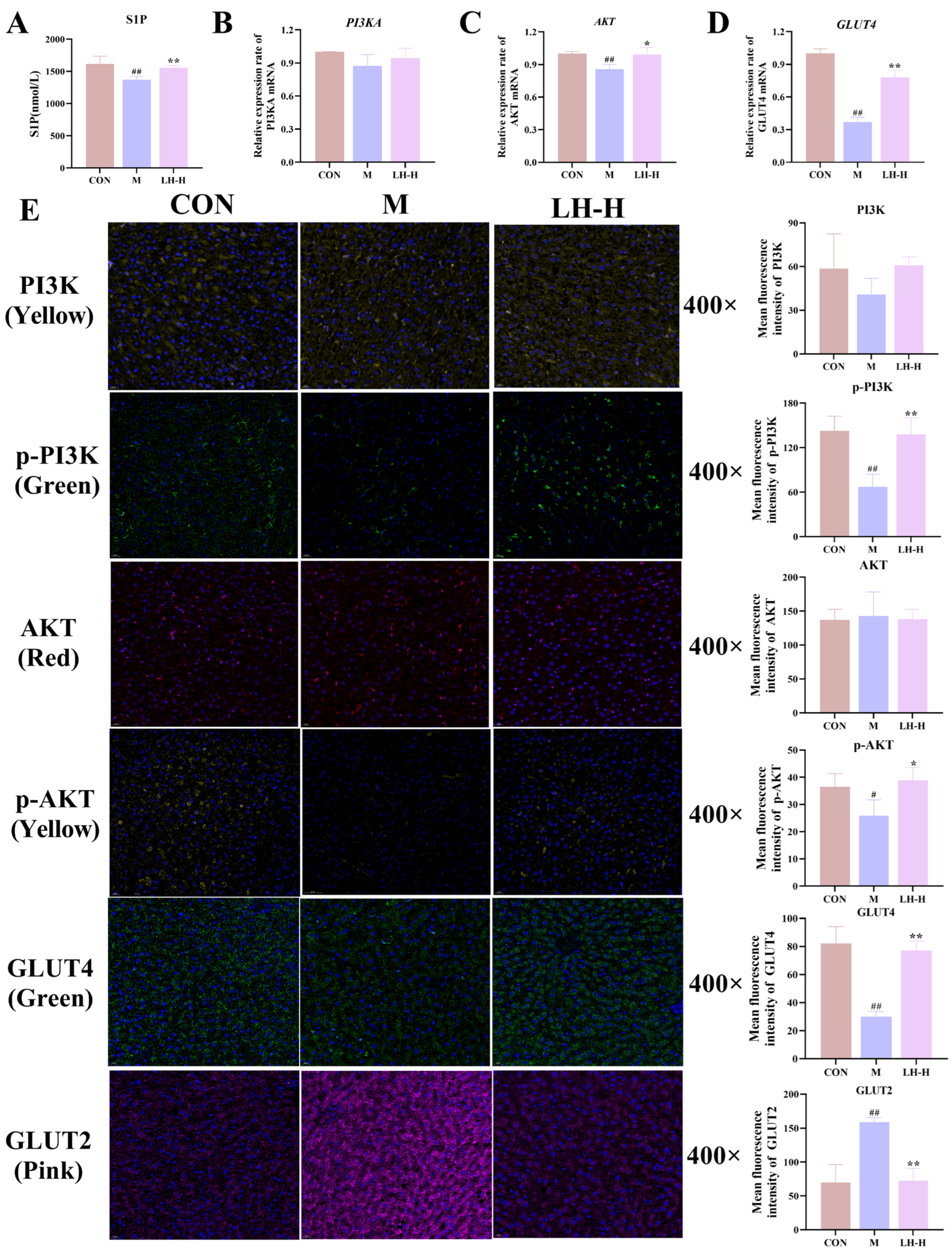 Foods 14 02945 g005 Foods 14 02945 g005