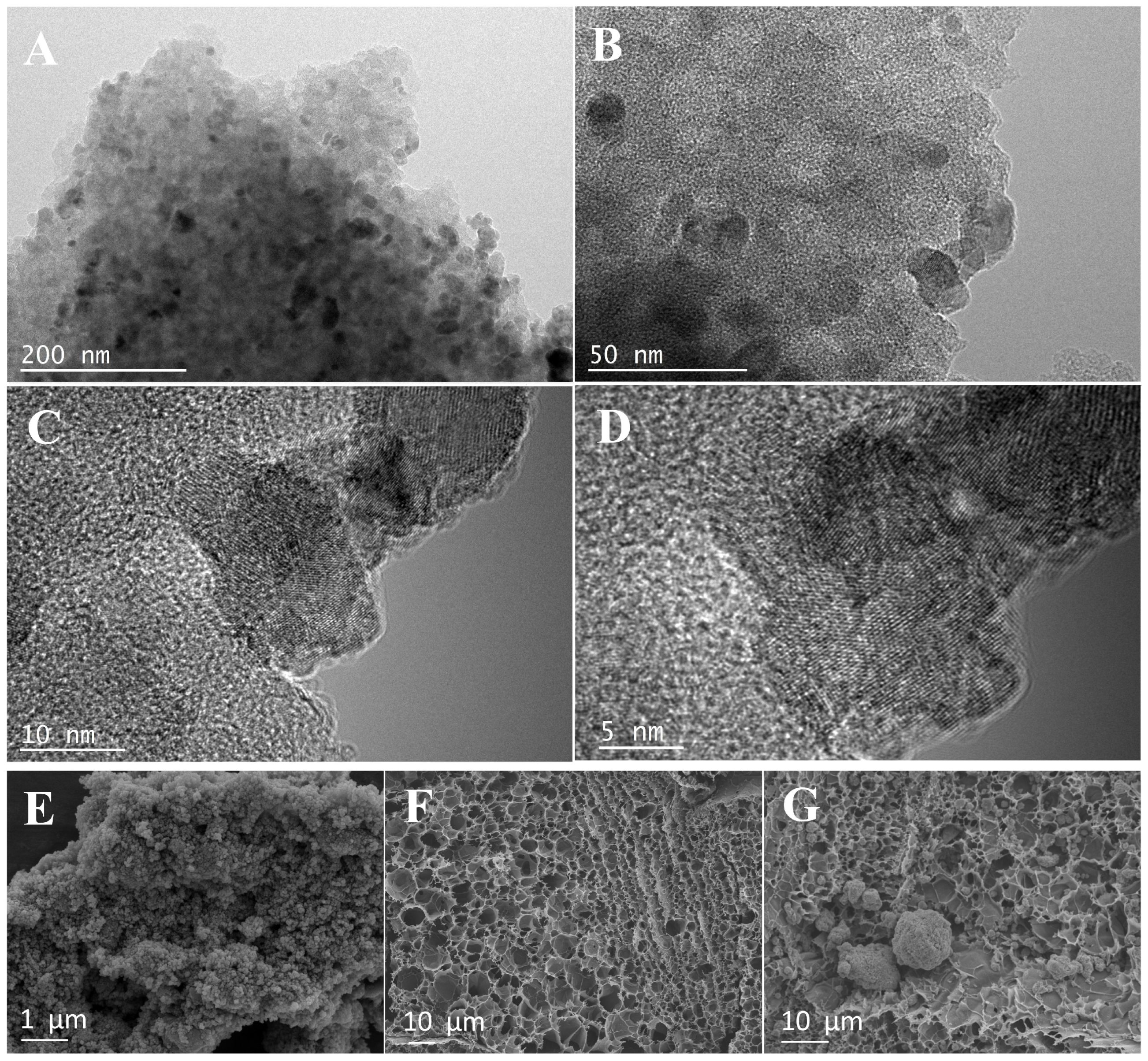 Foods 14 02946 g001 Foods 14 02946 g001