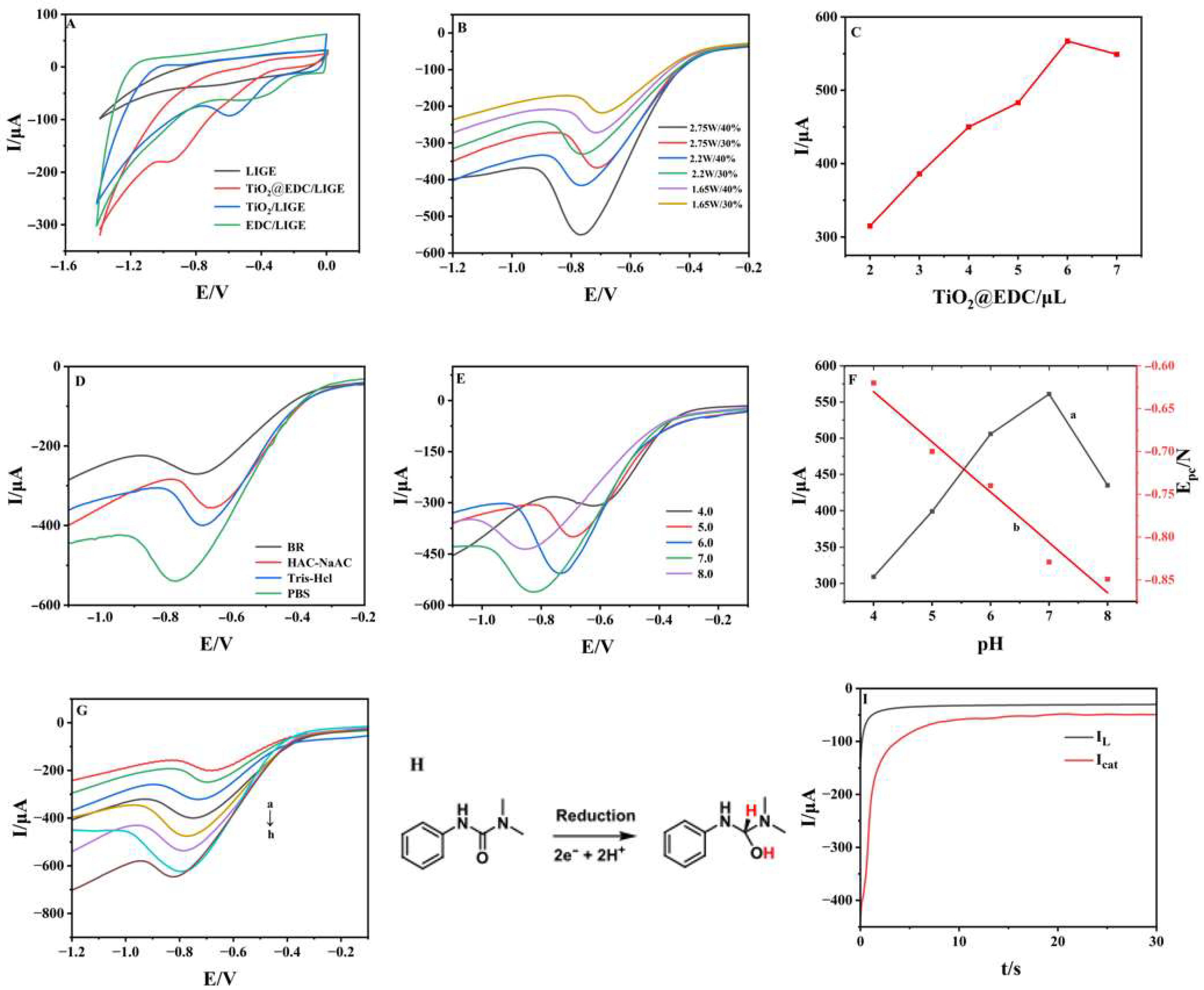 Foods 14 02946 g003 Foods 14 02946 g003