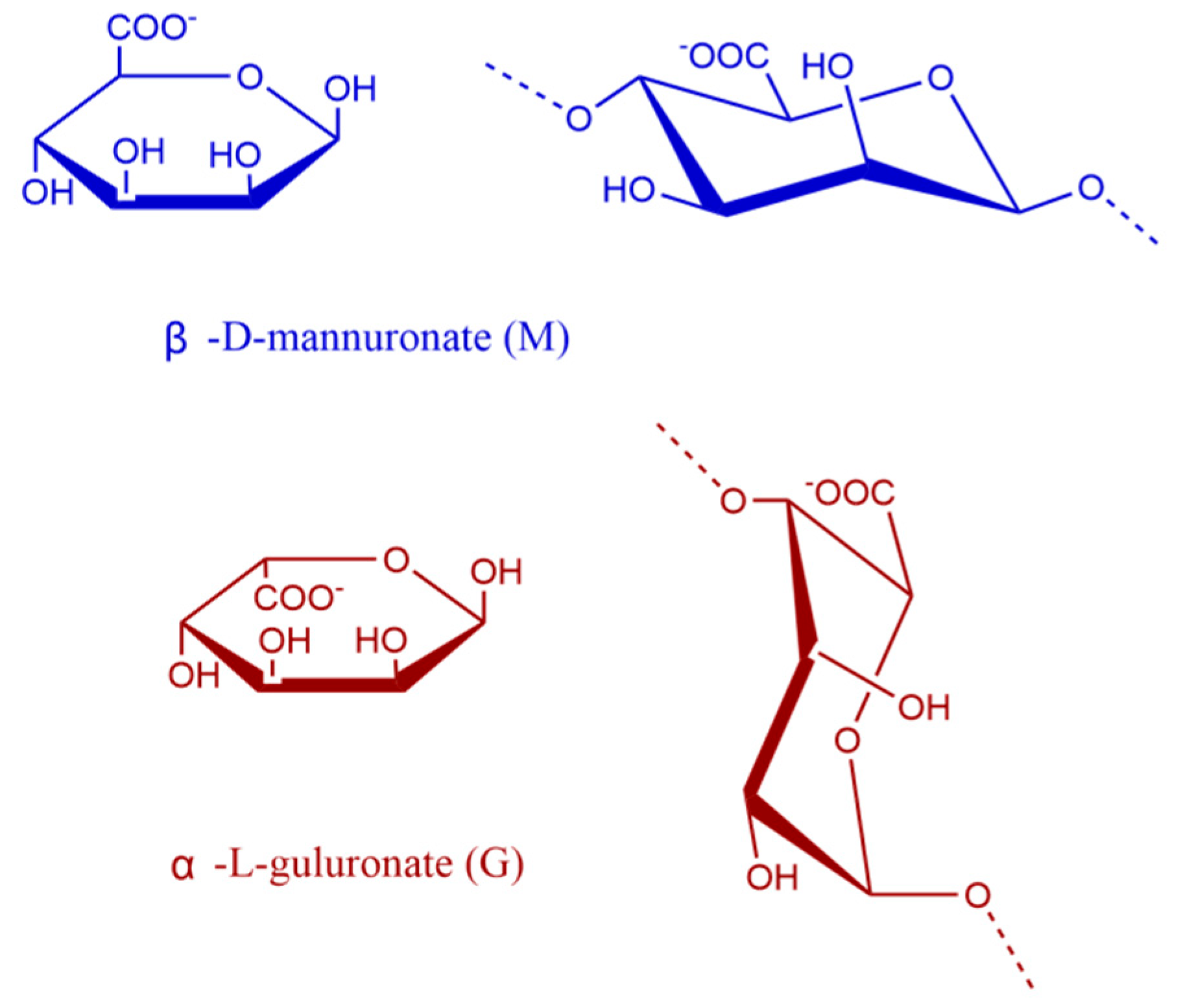 Foods 14 02970 g001 Foods 14 02970 g001
