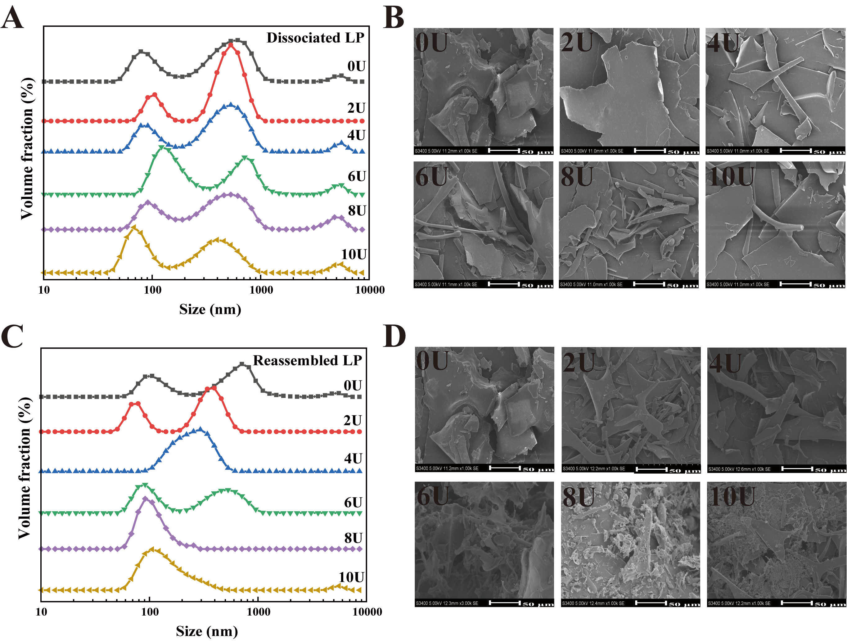 Foods 14 03000 g002 Foods 14 03000 g002