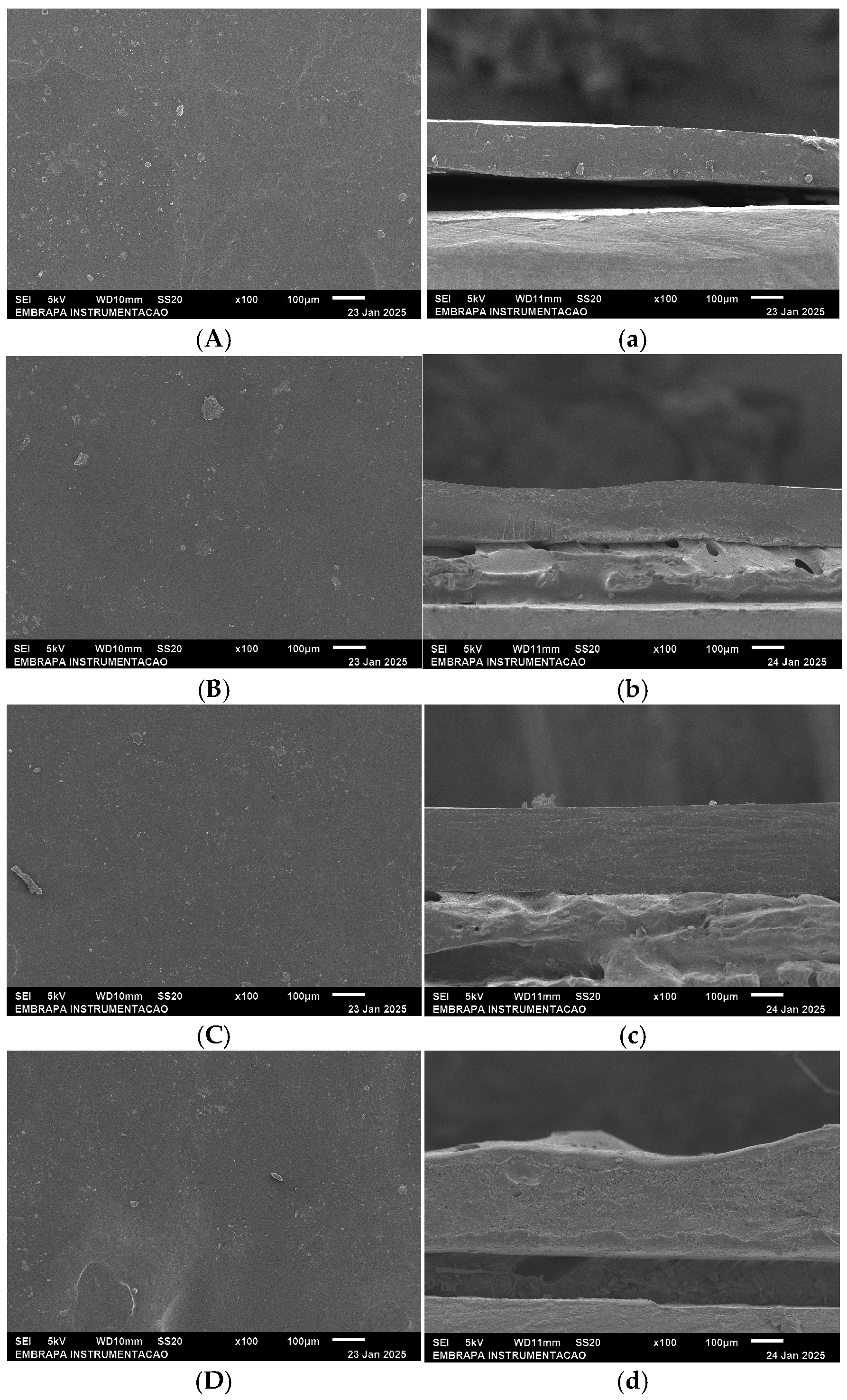 Foods 14 03015 g002 Foods 14 03015 g002