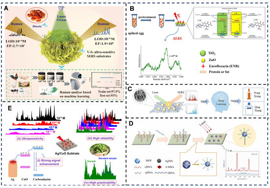 Nanostructure-Engineered Optical and Electrochemical