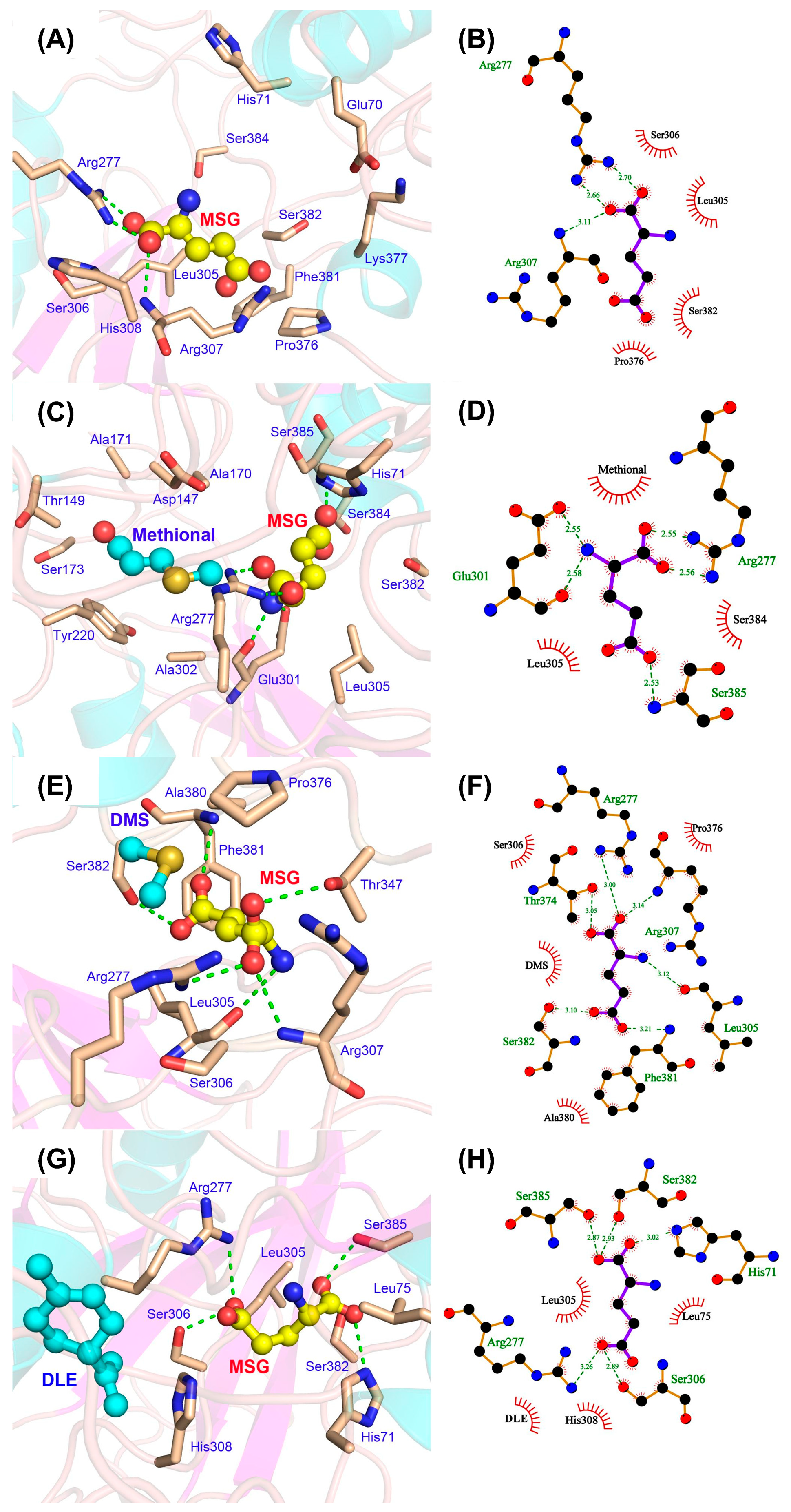 Foods 14 03041 g006 Foods 14 03041 g006