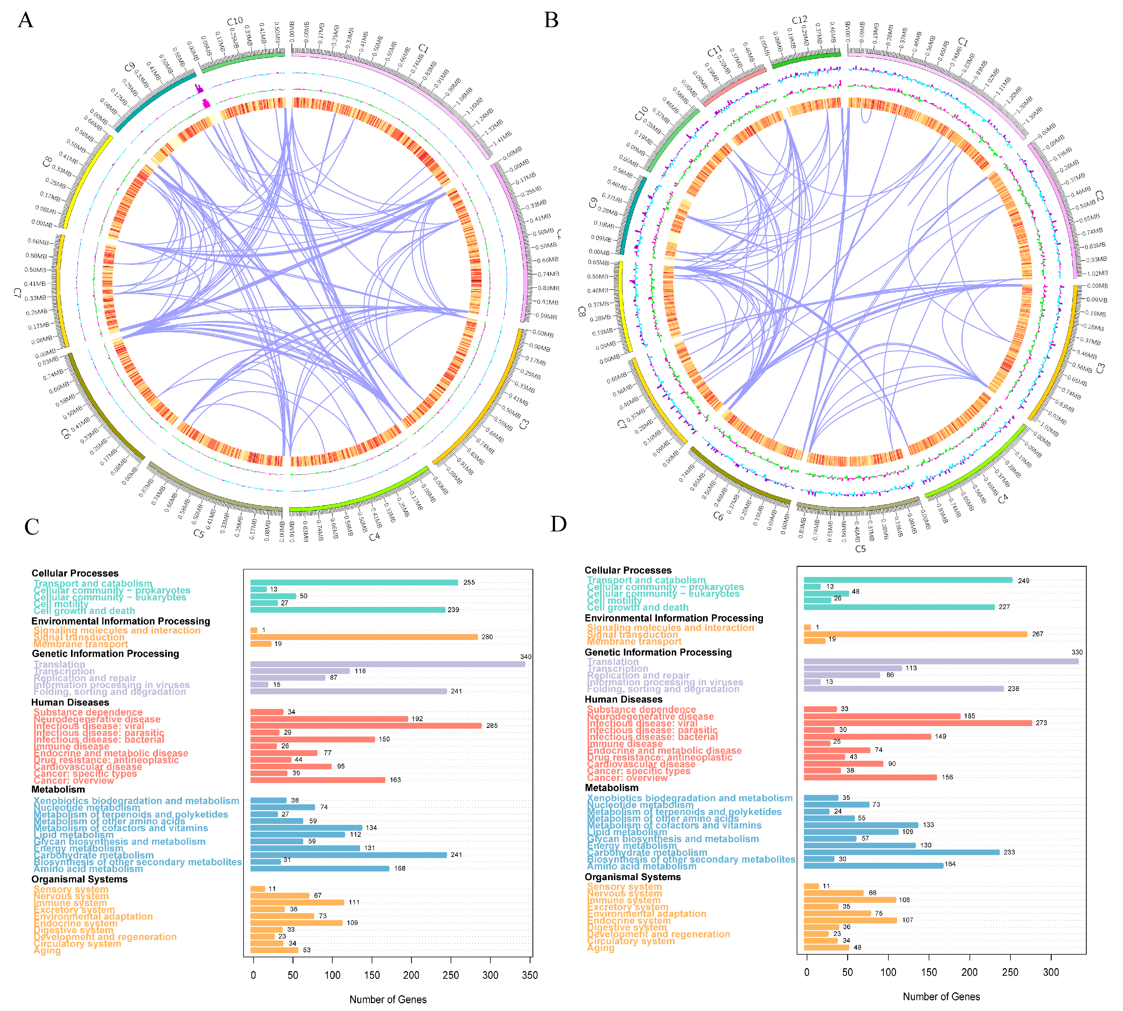 Foods 14 03043 g005 Foods 14 03043 g005