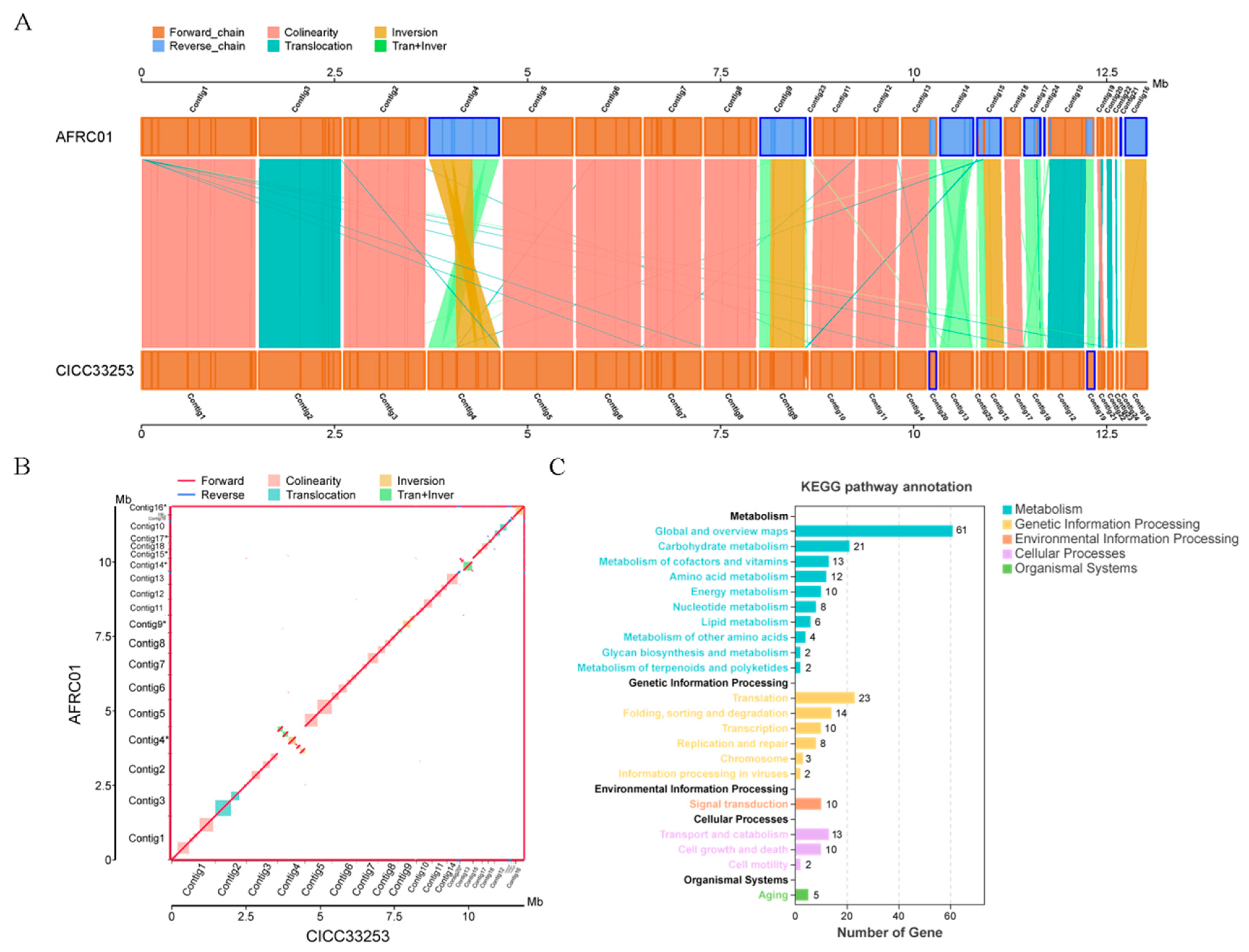 Foods 14 03043 g006 Foods 14 03043 g006
