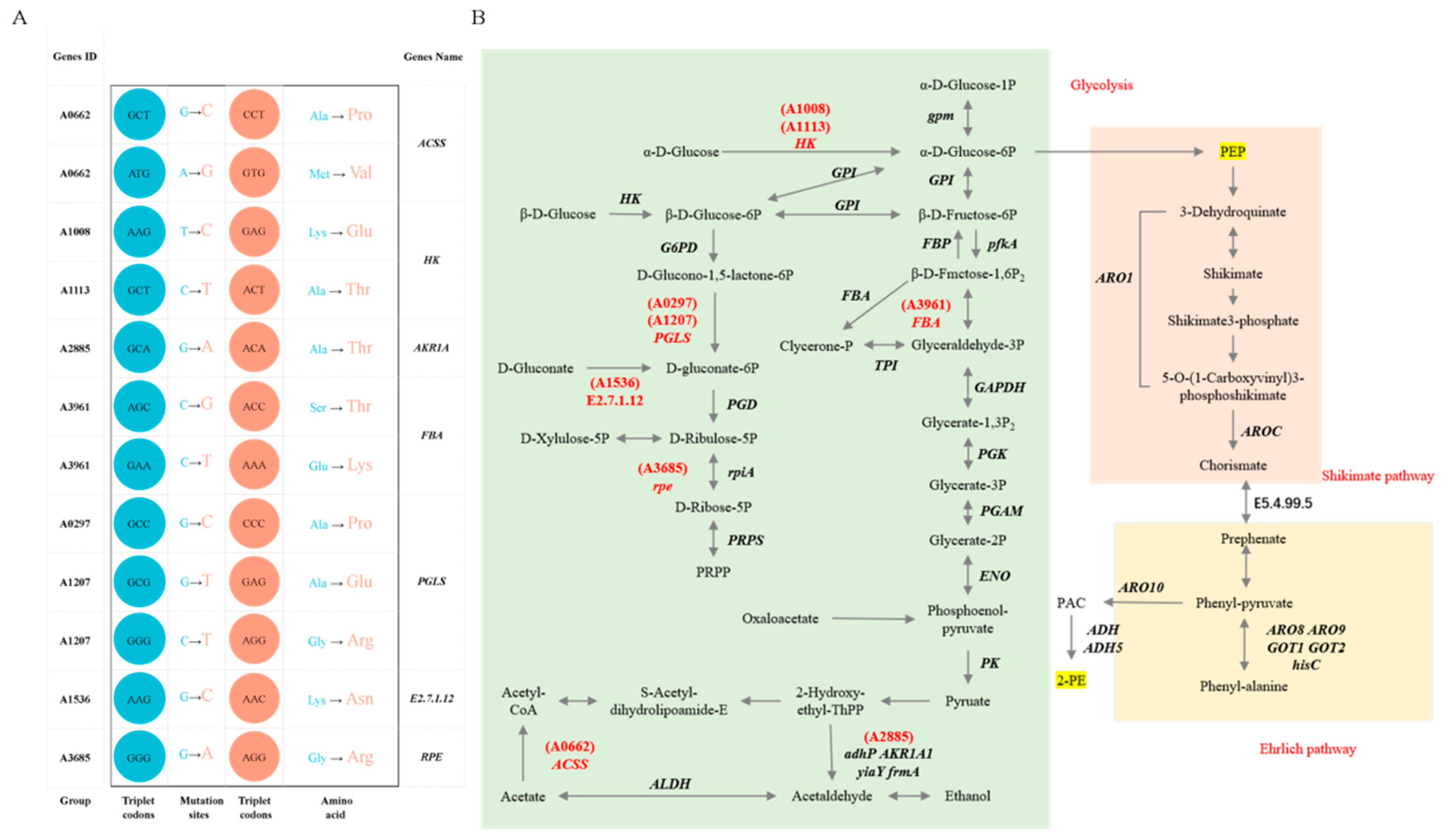 Foods 14 03043 g007 Foods 14 03043 g007