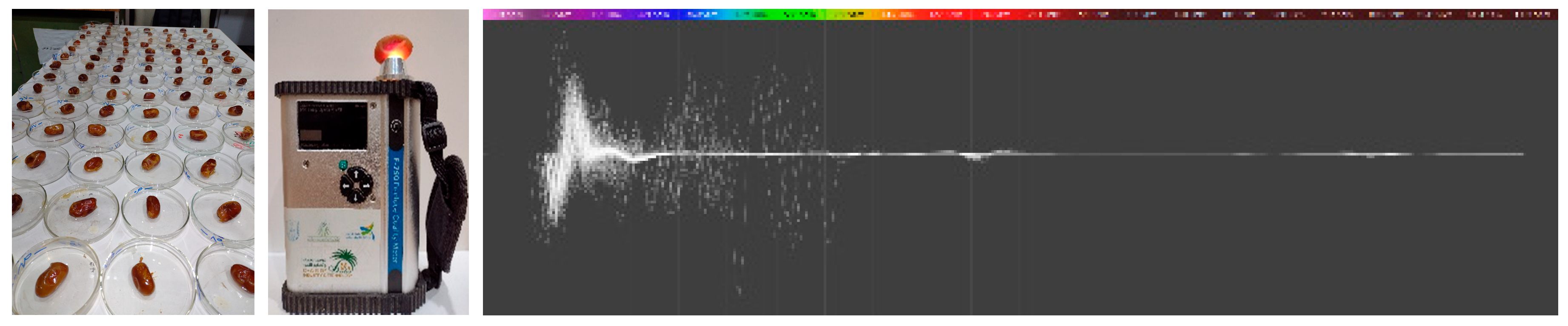 Foods 14 03060 g005 Foods 14 03060 g005