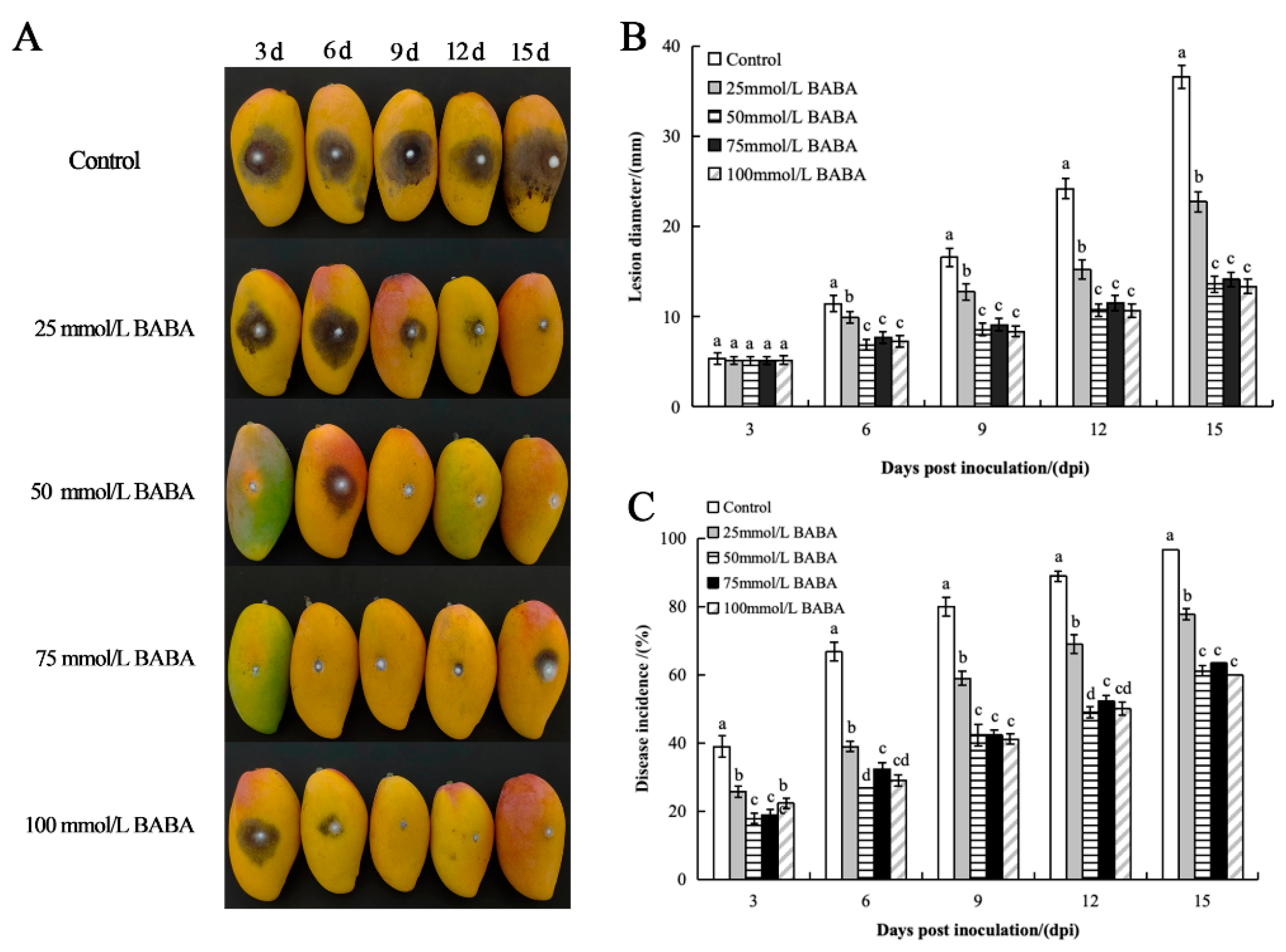 Foods 14 03061 g001 Foods 14 03061 g001