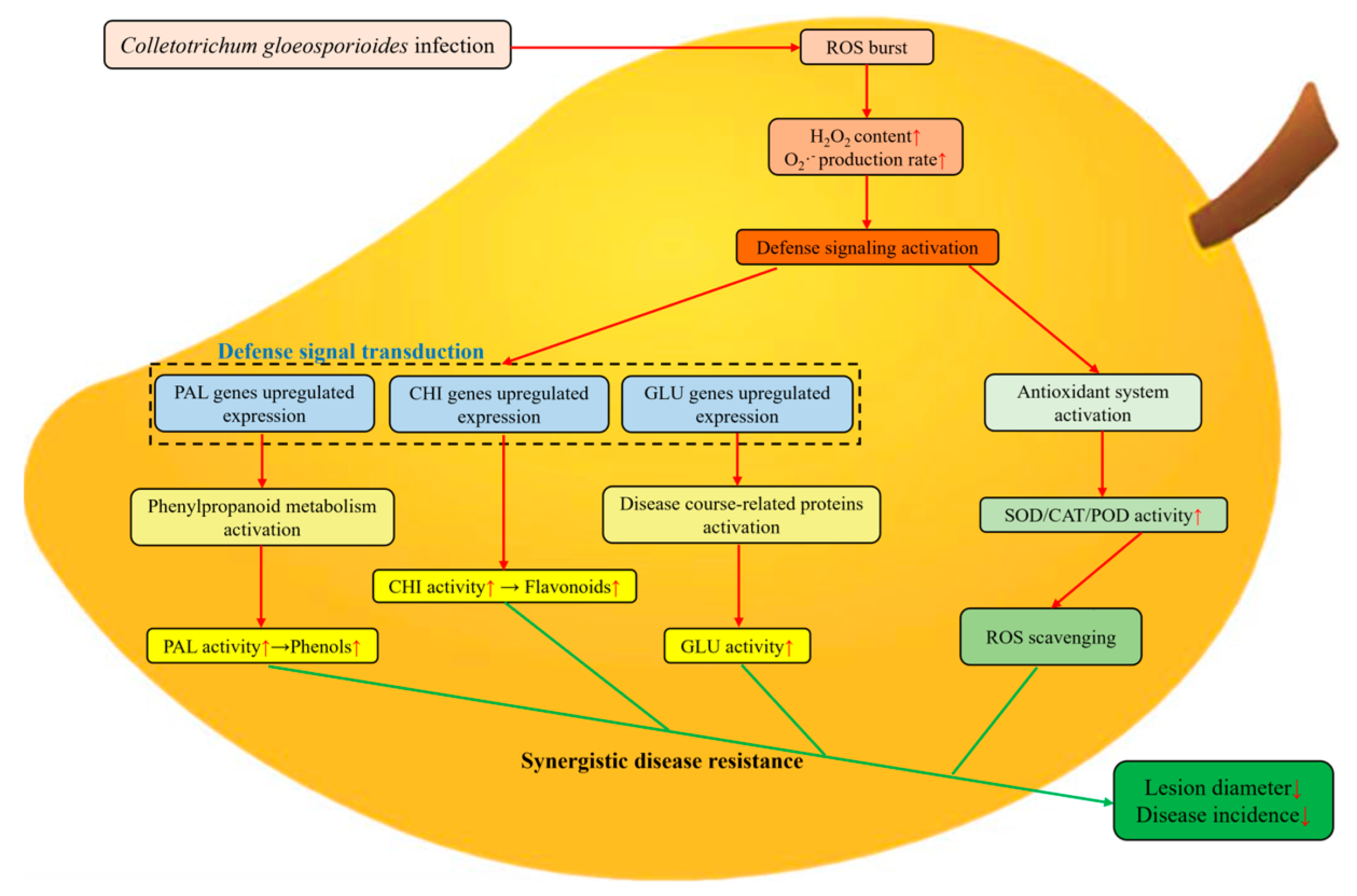 Foods 14 03061 g008 Foods 14 03061 g008