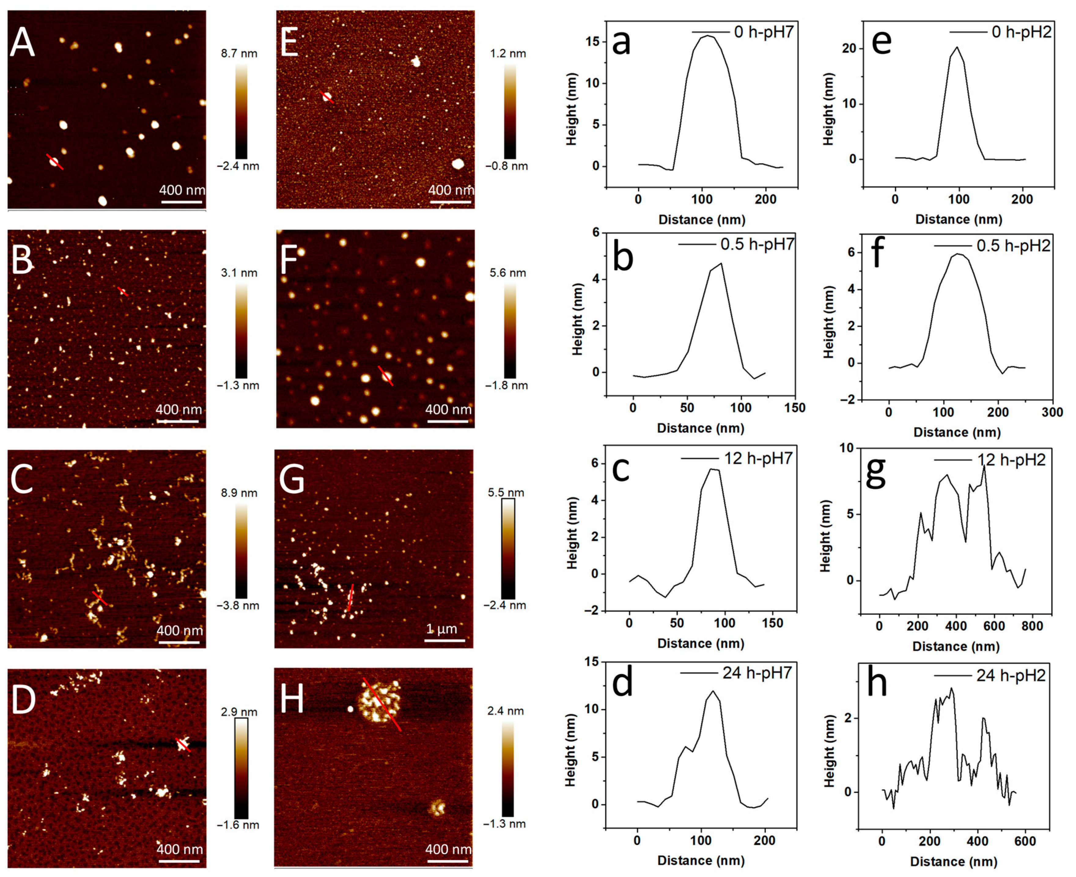 Foods 14 03069 g002 Foods 14 03069 g002