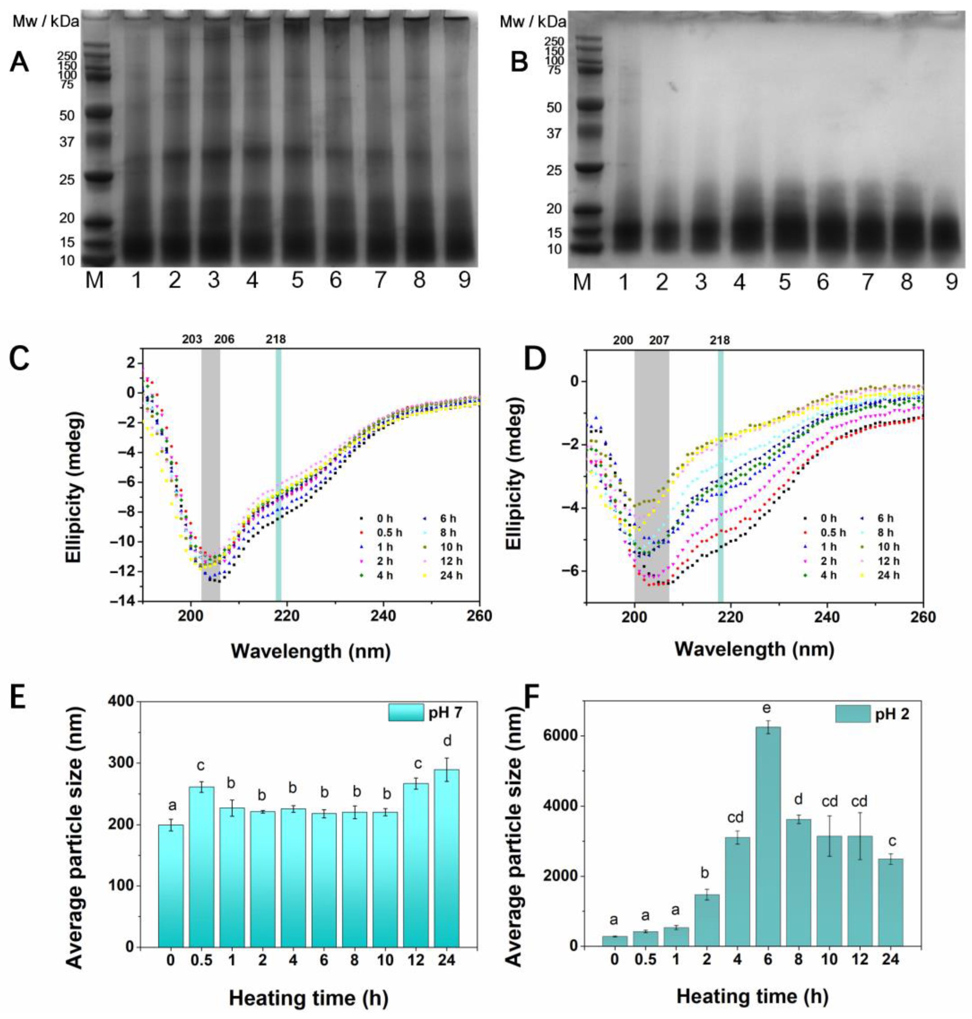 Foods 14 03069 g003 Foods 14 03069 g003
