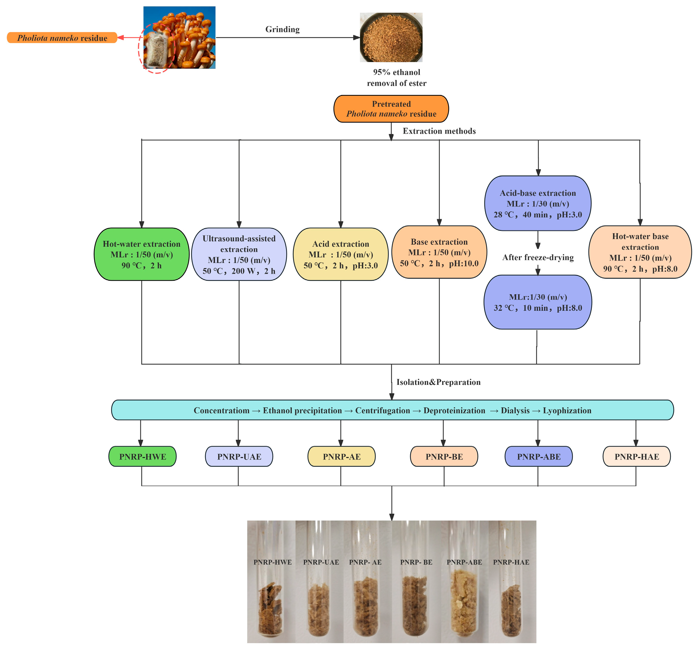 Foods 14 03071 g001 Foods 14 03071 g001