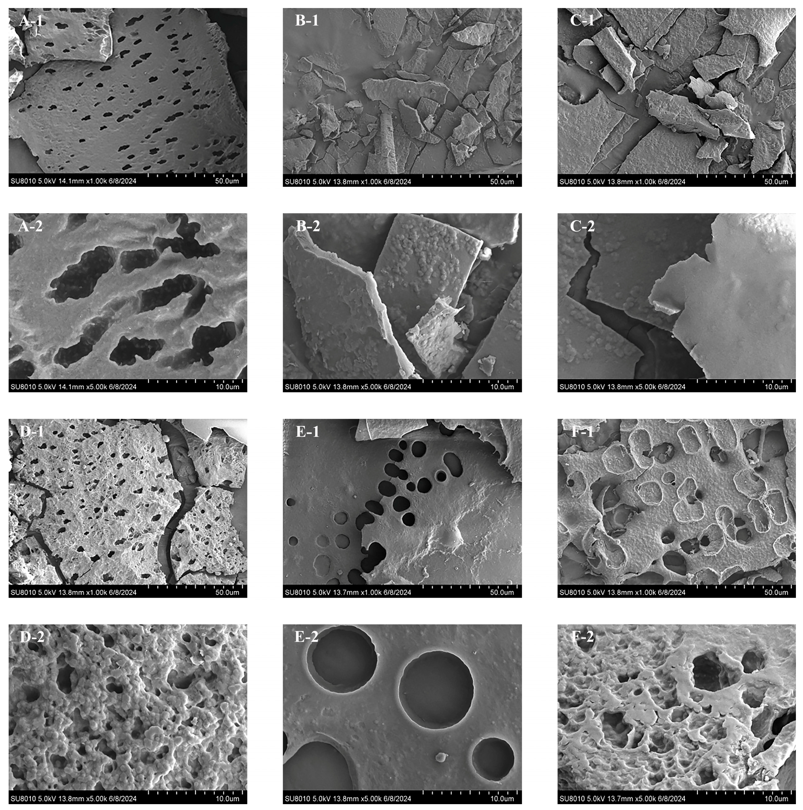 Foods 14 03071 g005 Foods 14 03071 g005