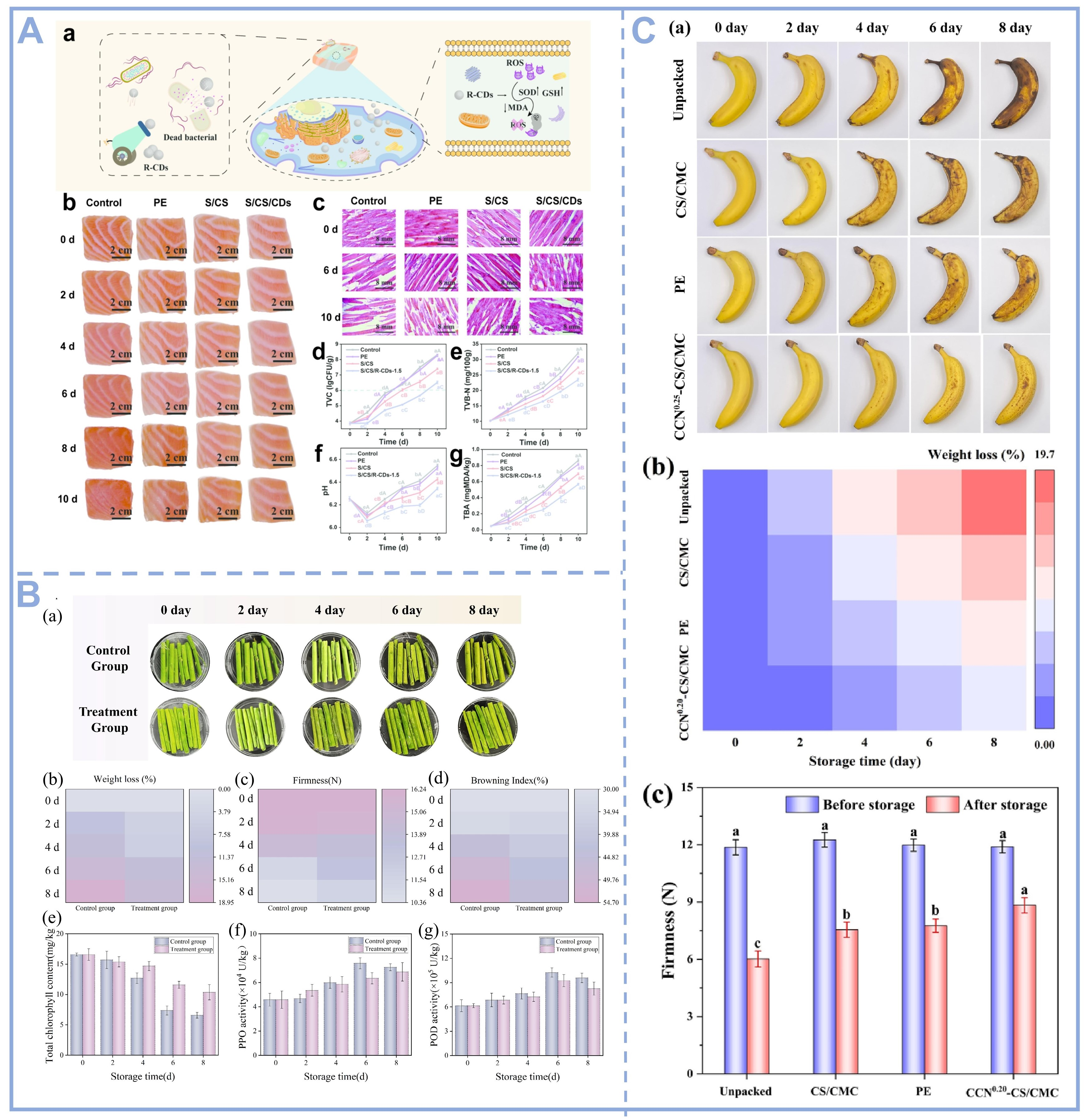 Foods 14 03082 g003 Foods 14 03082 g003