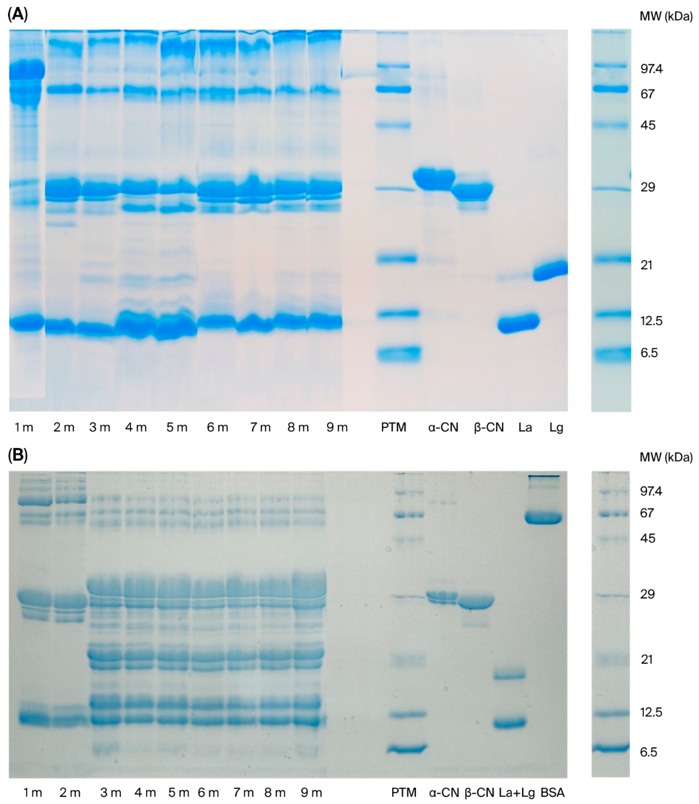 Foods 14 03083 g001 Foods 14 03083 g001