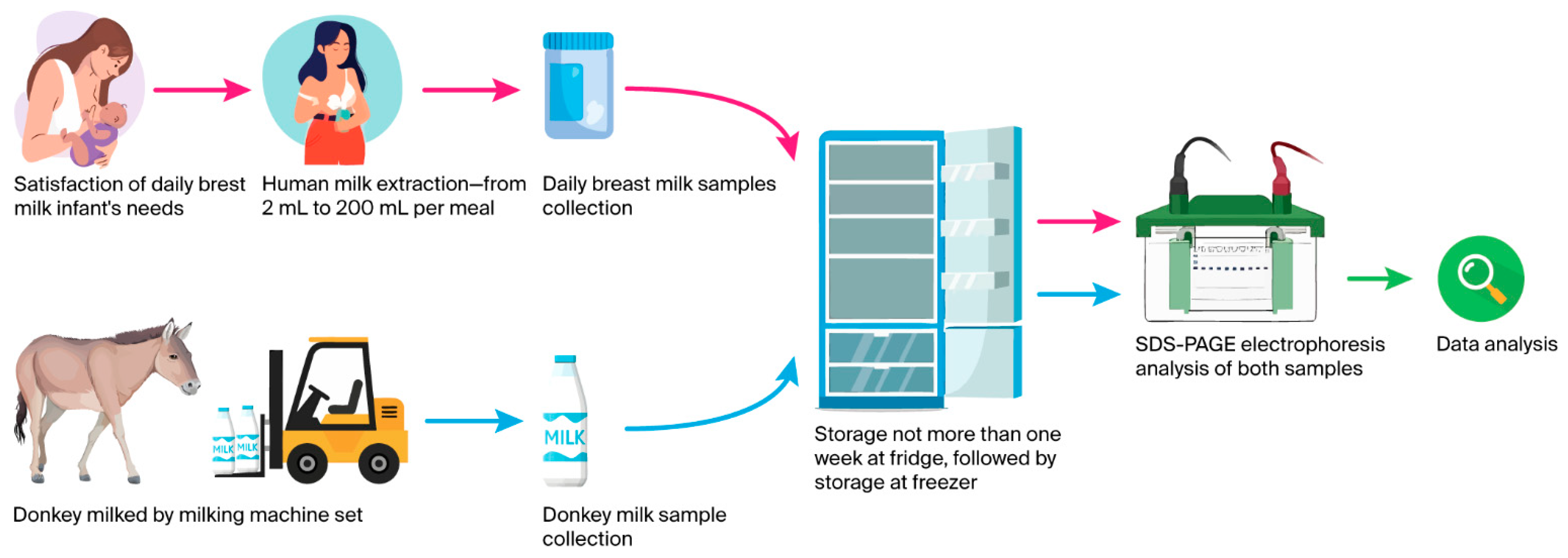 Foods 14 03083 sch001 Foods 14 03083 sch001