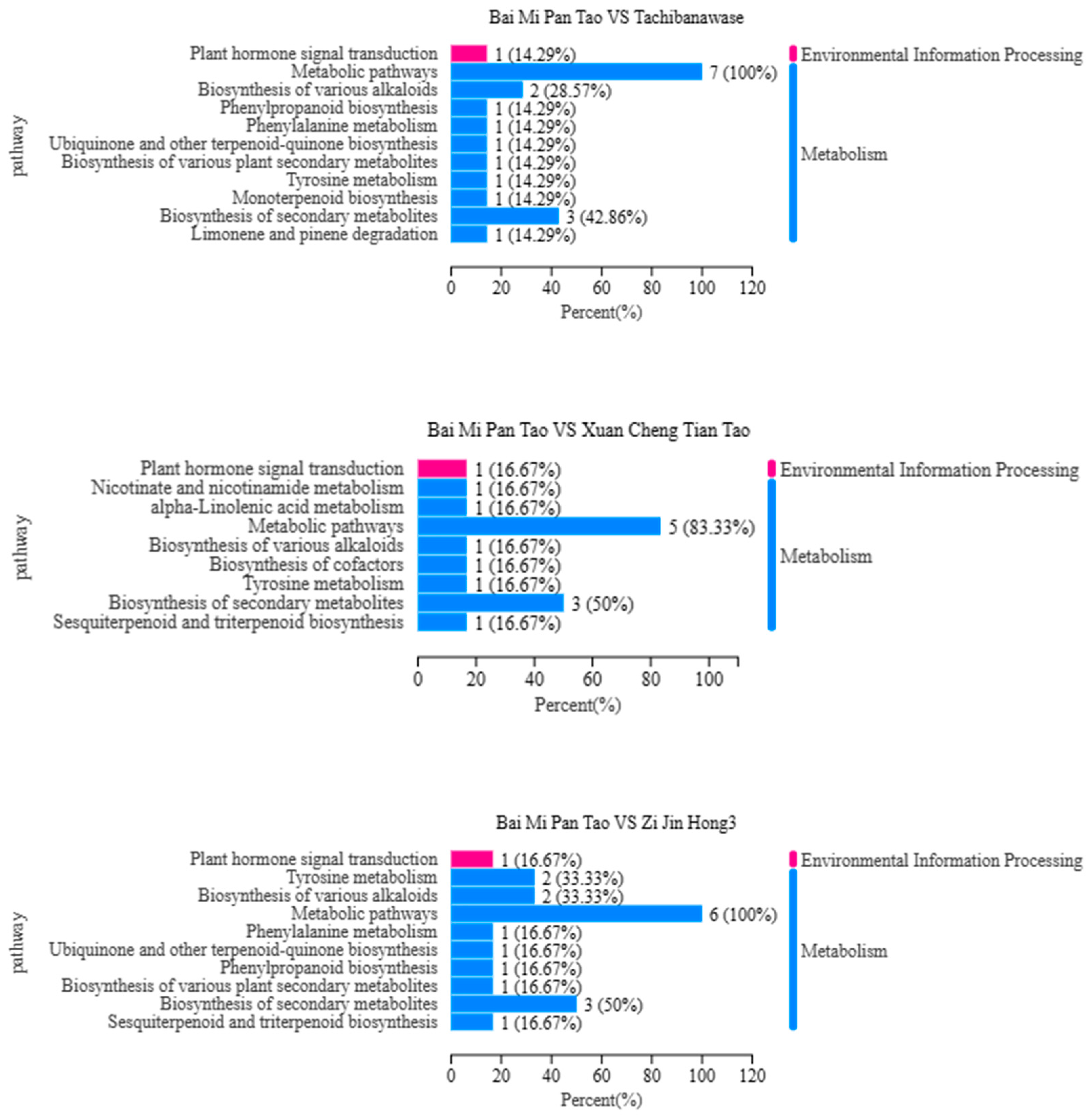 Foods 14 03087 g010a Foods 14 03087 g010a