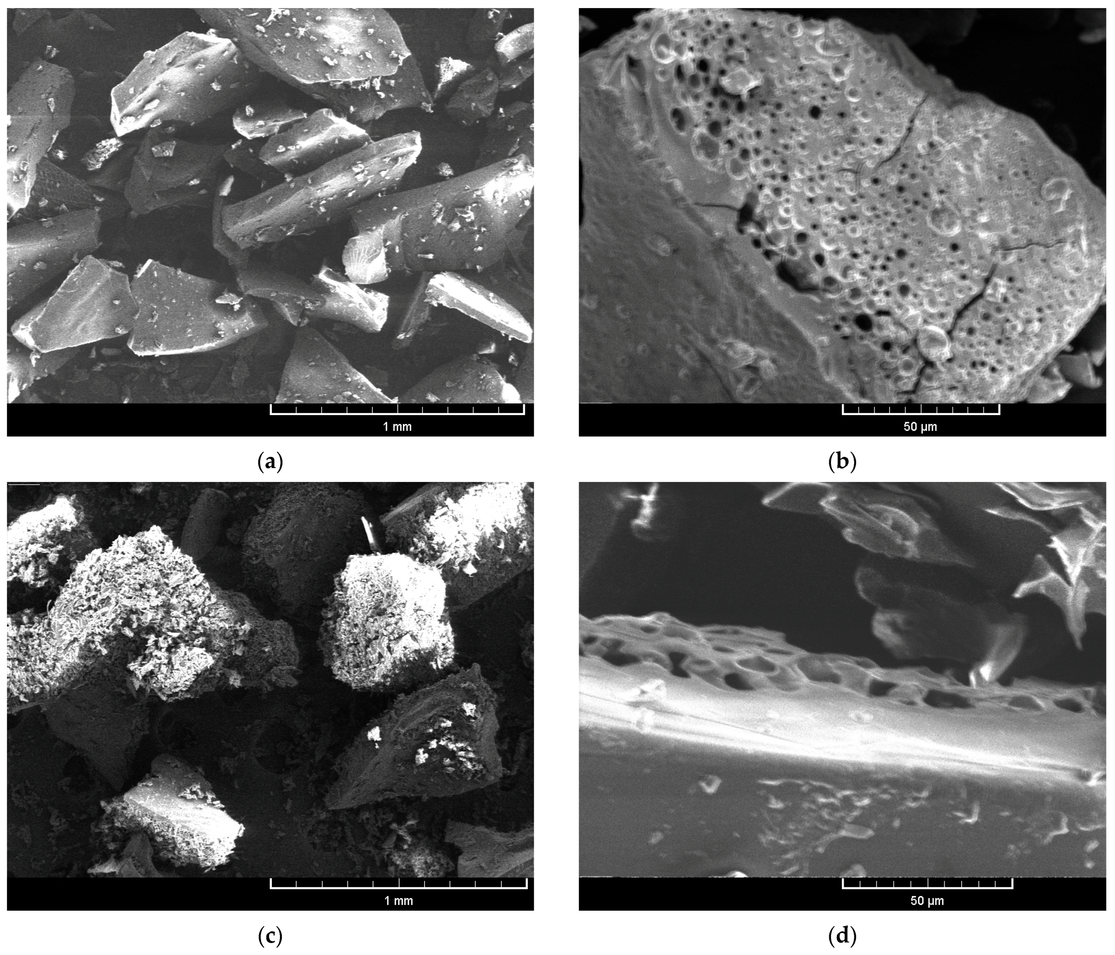 Foods 14 03092 g001 Foods 14 03092 g001