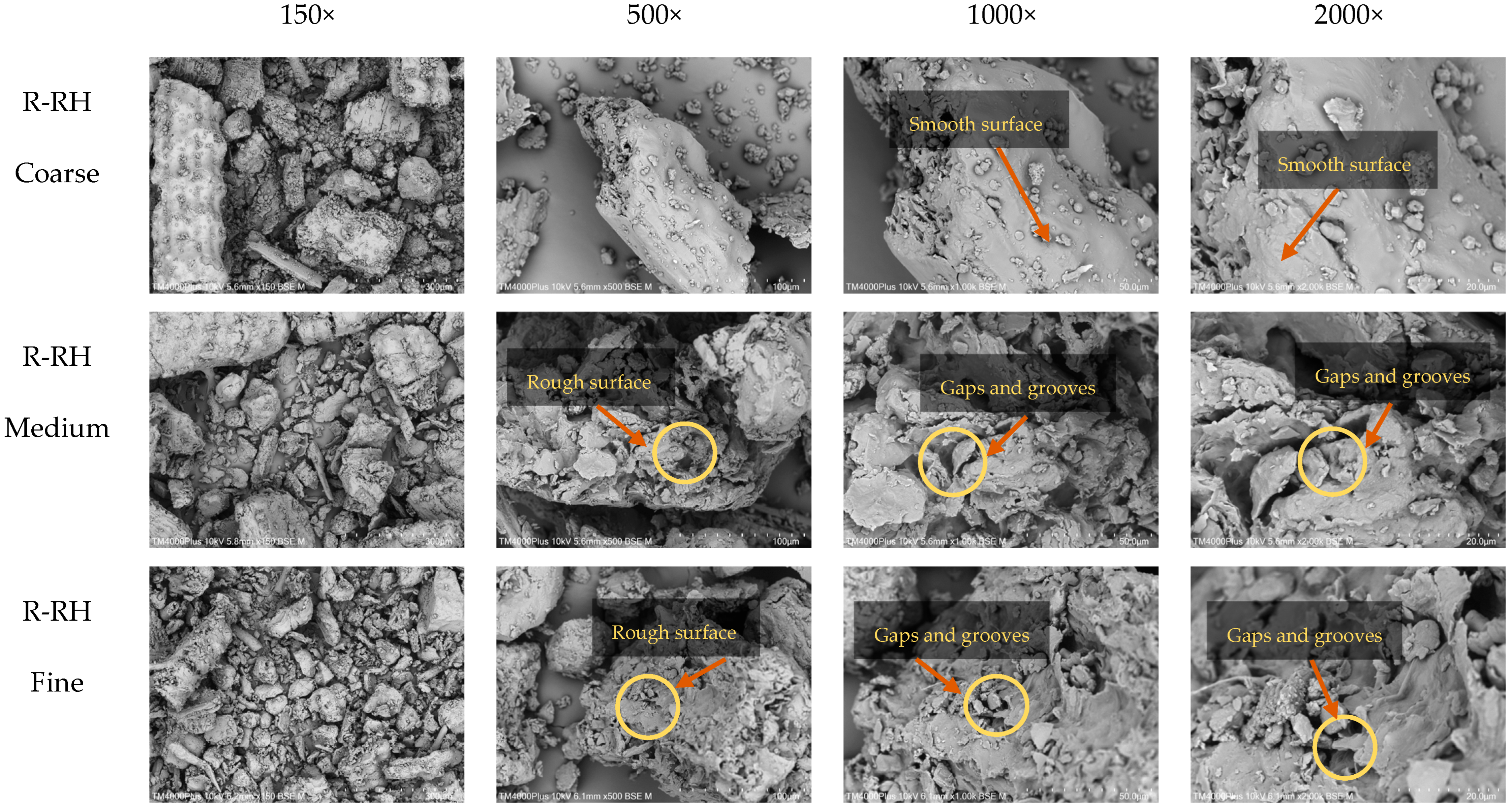 Foods 14 03094 g003a Foods 14 03094 g003a