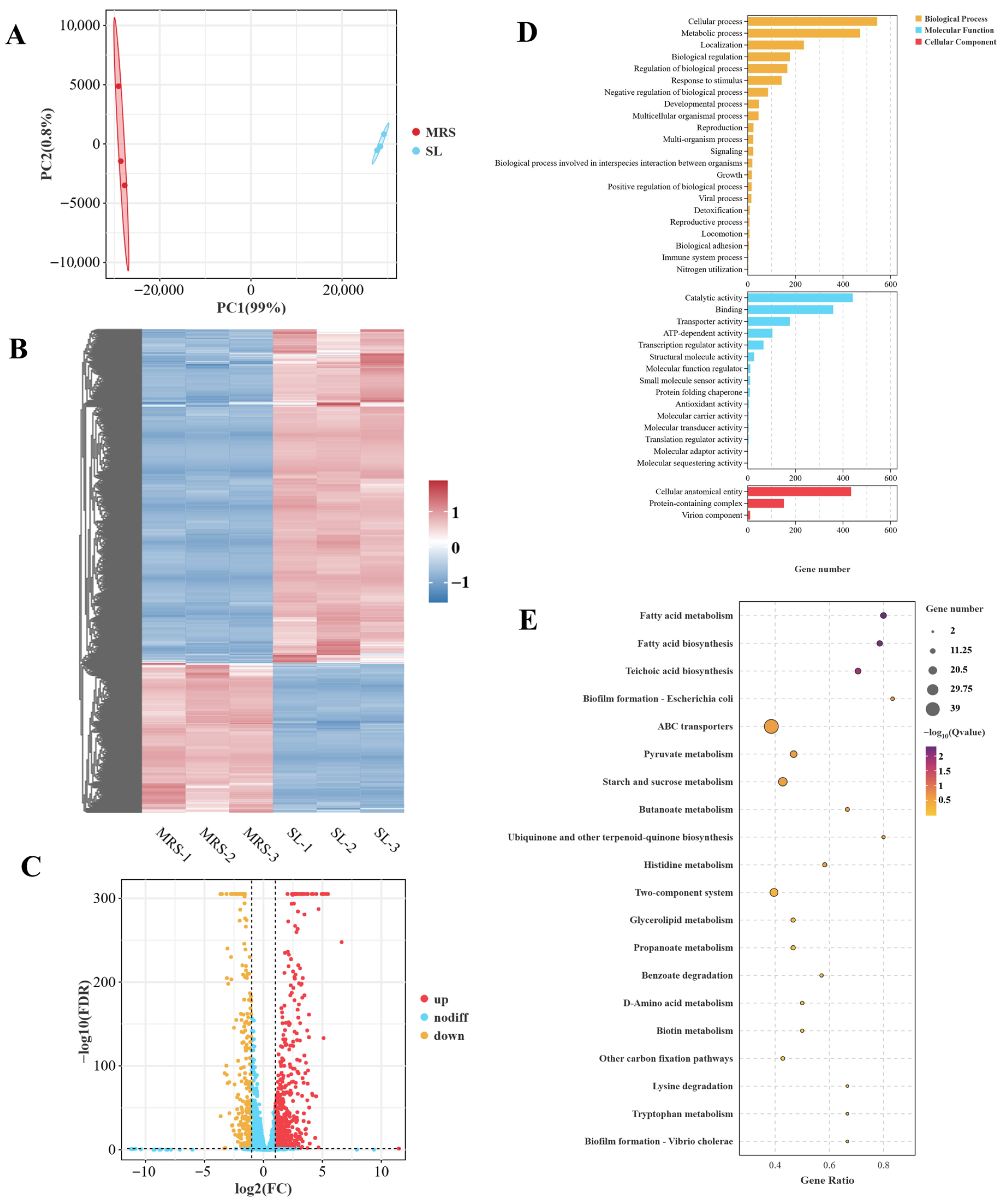 Integrated Transcriptomic and Proteomic Analyses Revealed the