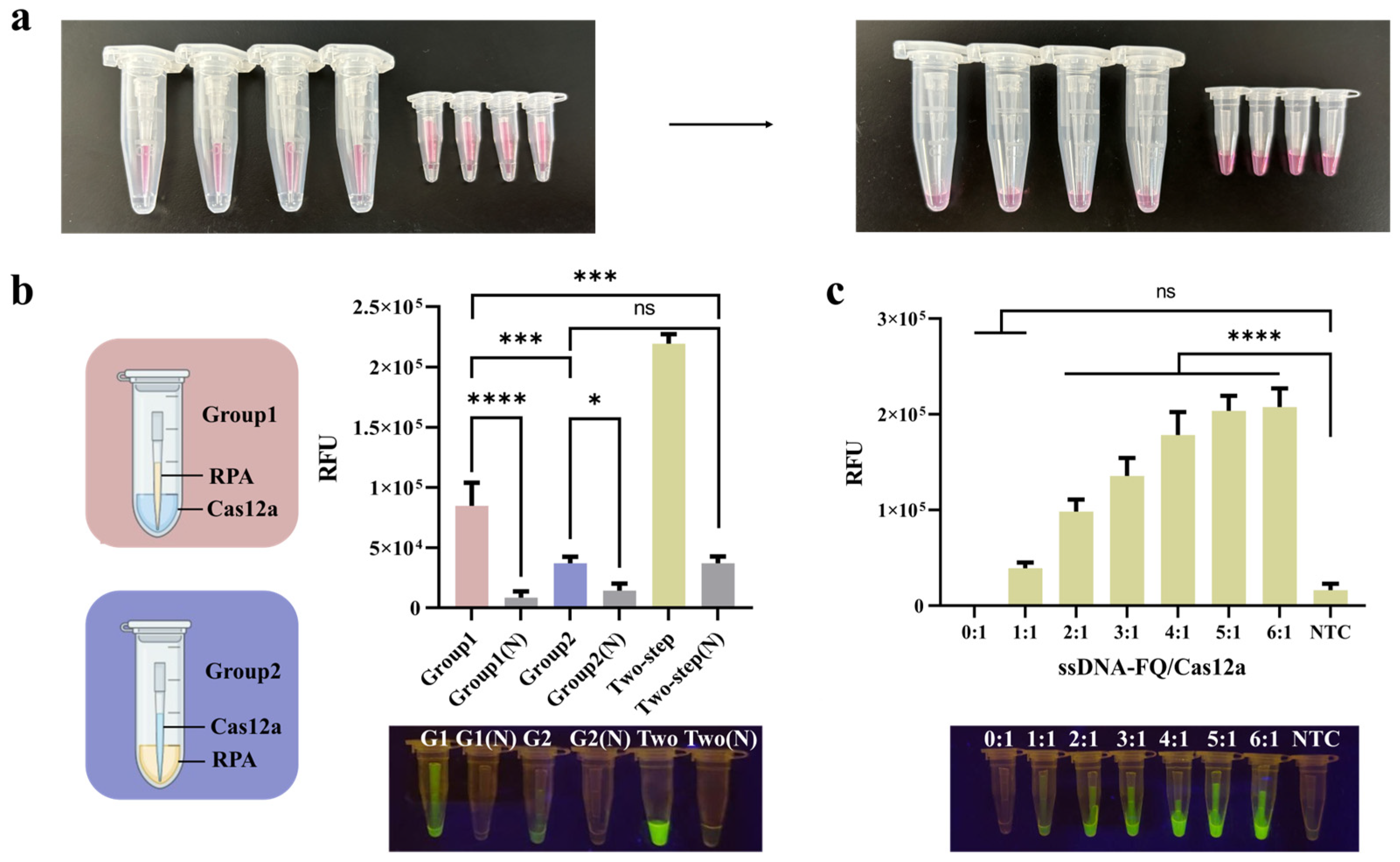 Foods 14 03120 g004 Foods 14 03120 g004