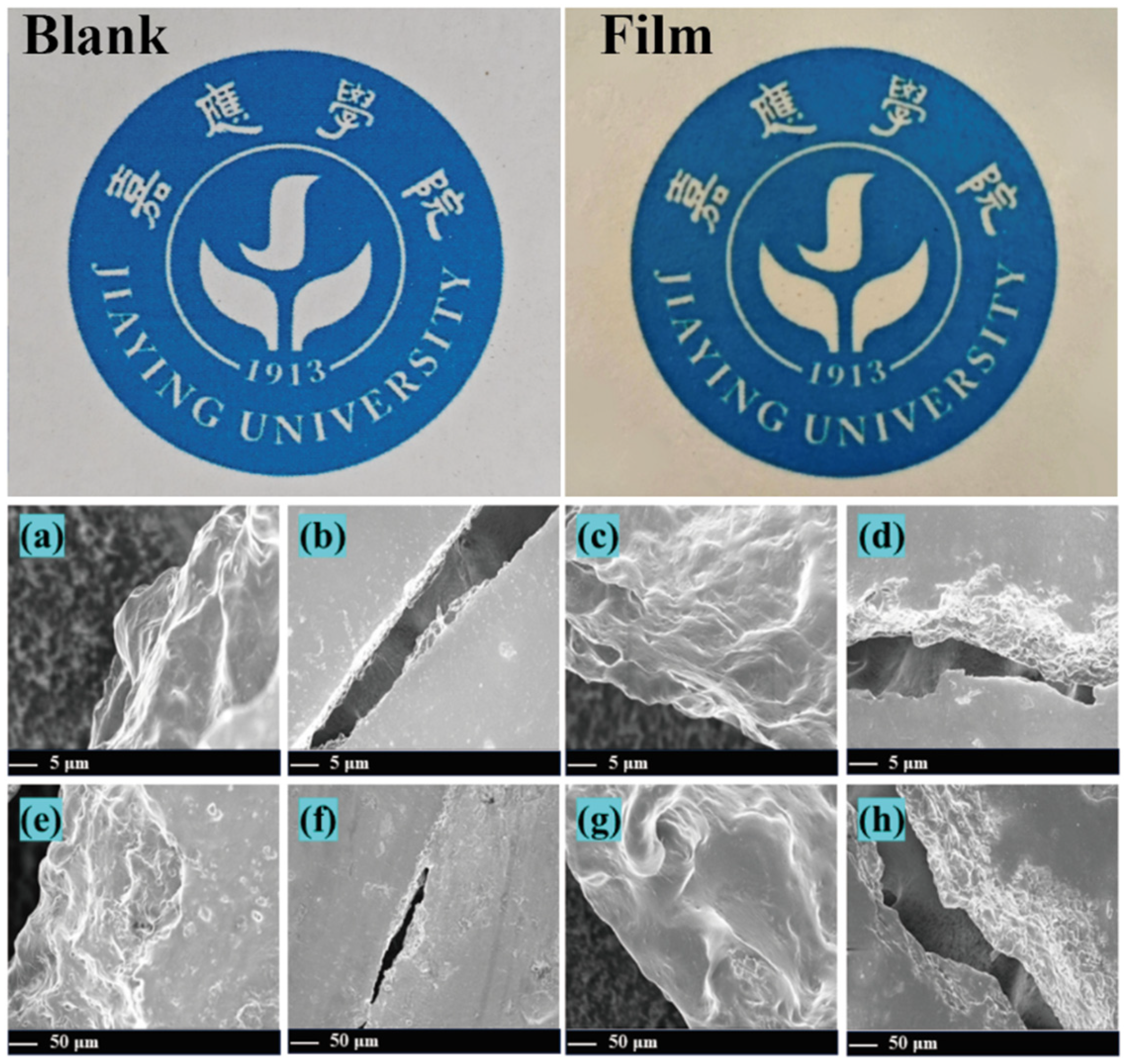 Foods 14 03139 g001 Foods 14 03139 g001