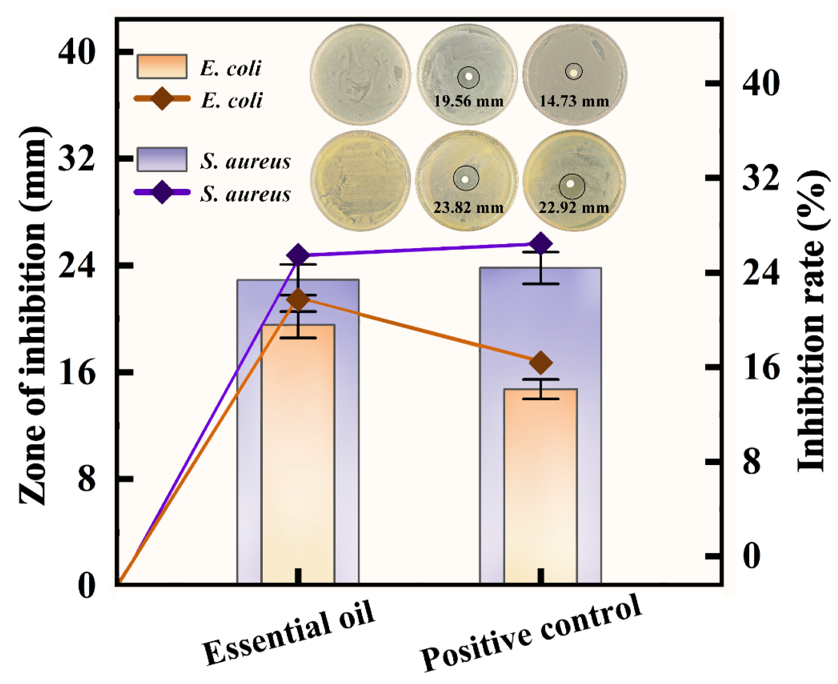 Foods 14 03139 g005 Foods 14 03139 g005