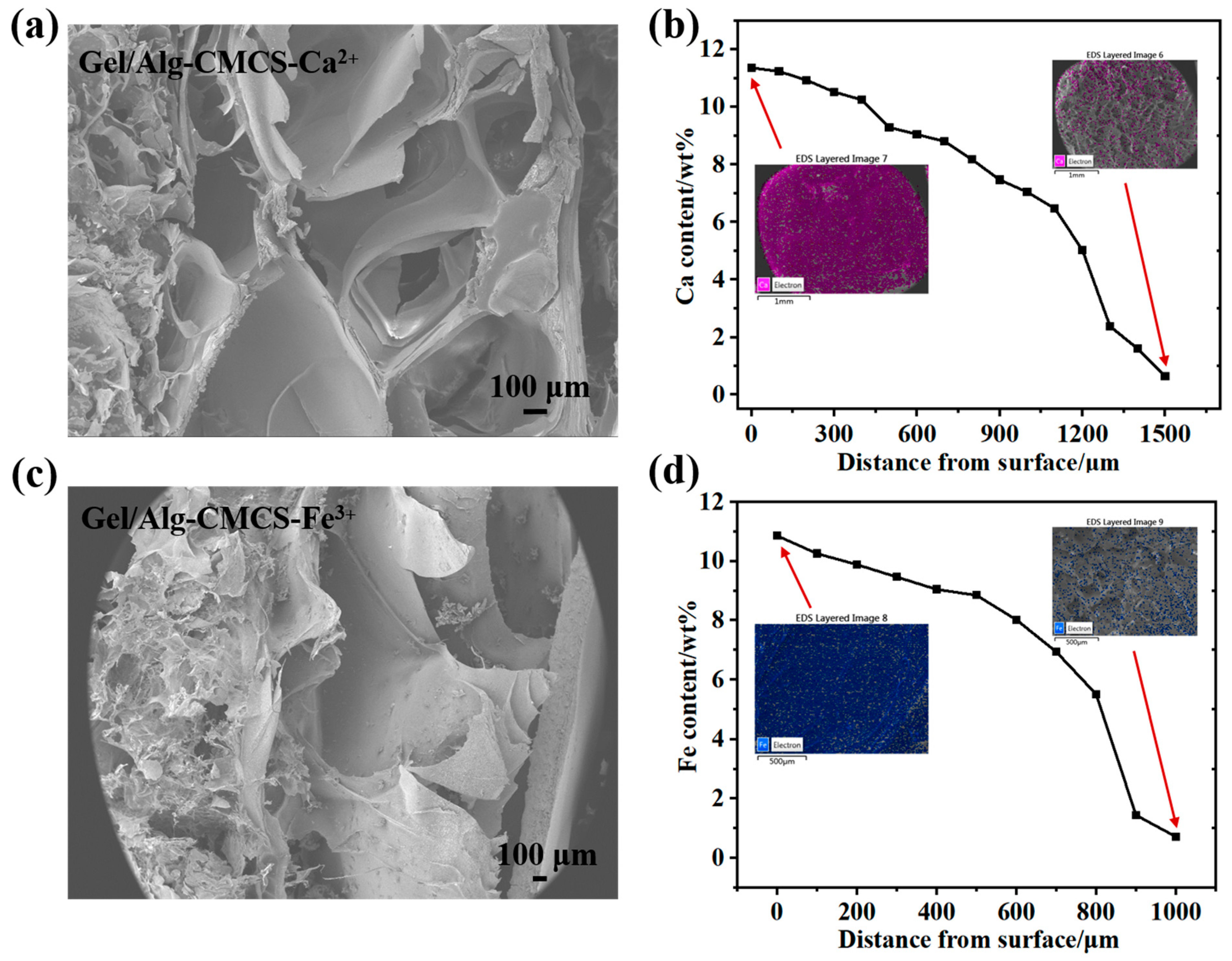 Foods 14 03149 g002 Foods 14 03149 g002