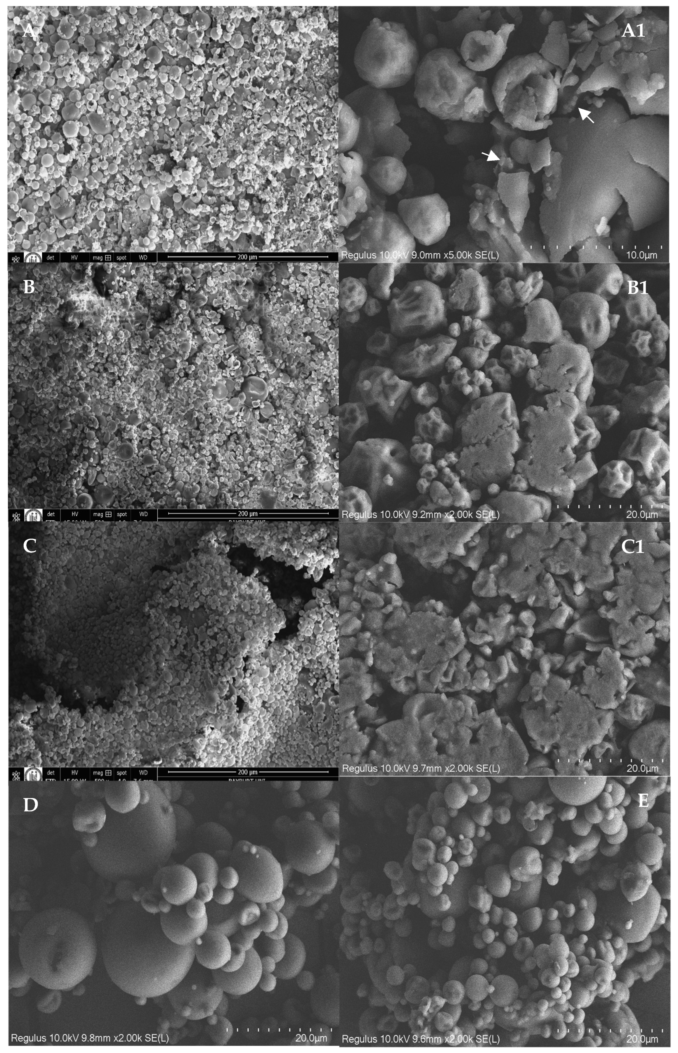 Foods 14 03157 g001 Foods 14 03157 g001