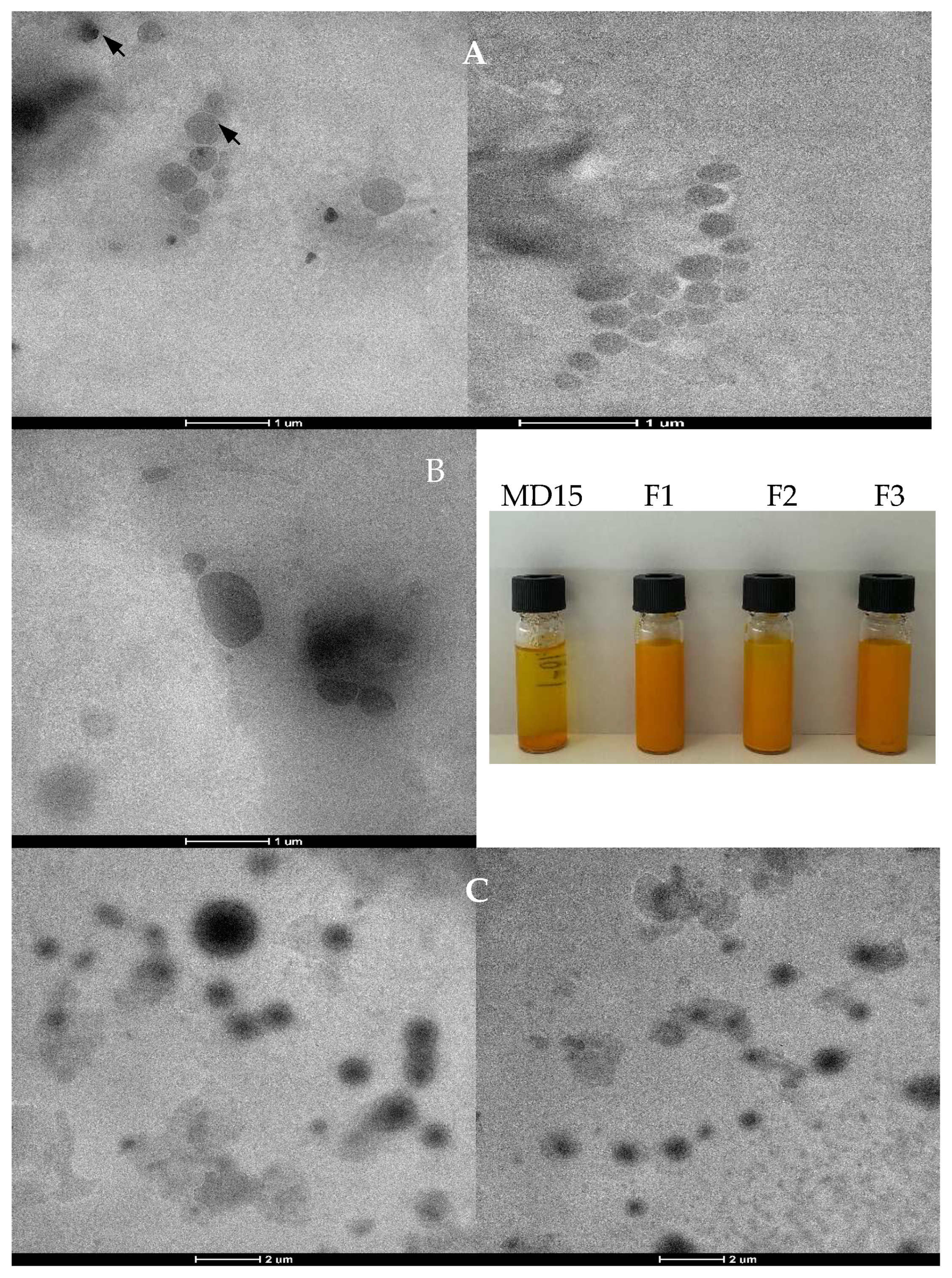 Foods 14 03157 g002 Foods 14 03157 g002