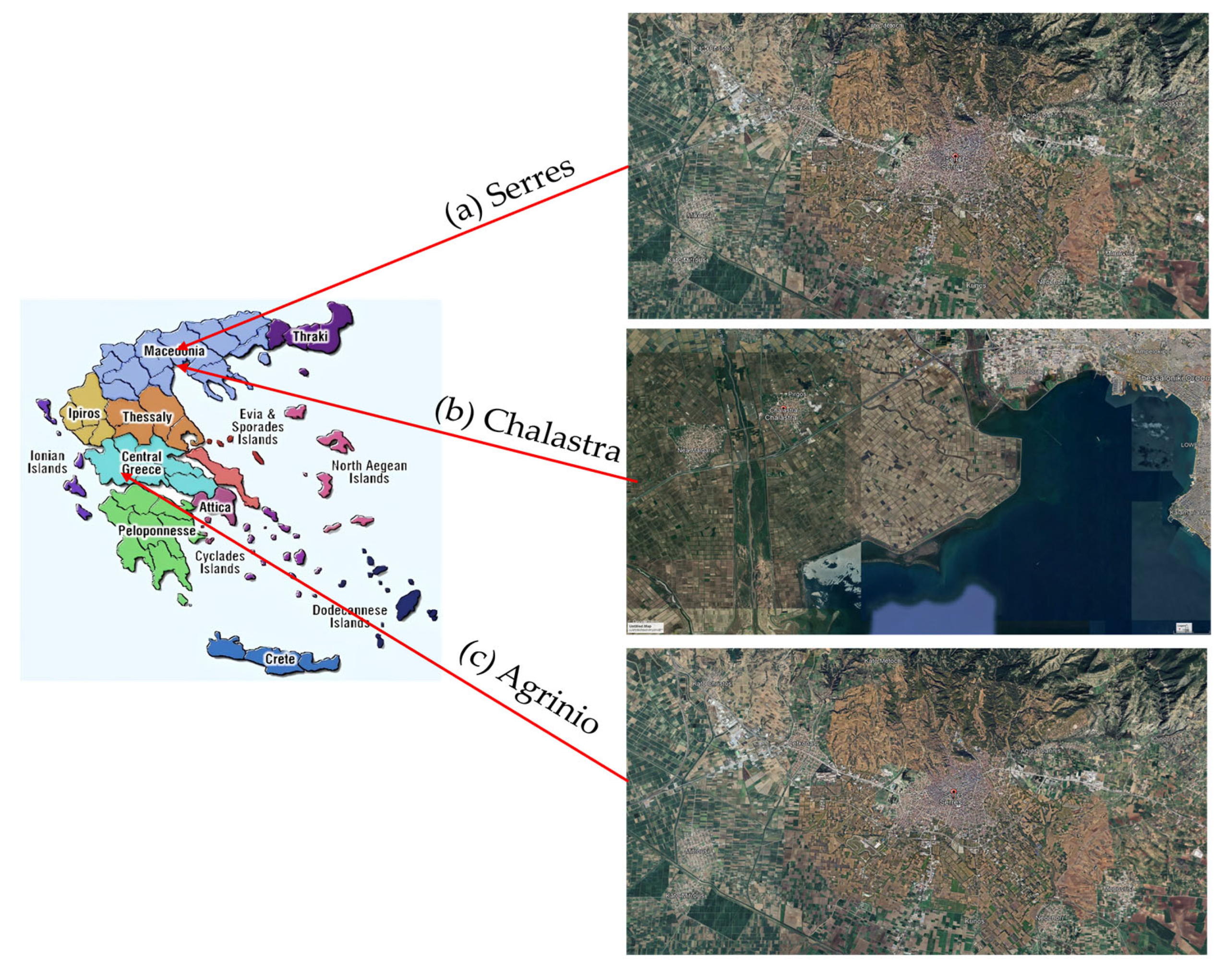 Foods 14 03163 g001 Foods 14 03163 g001