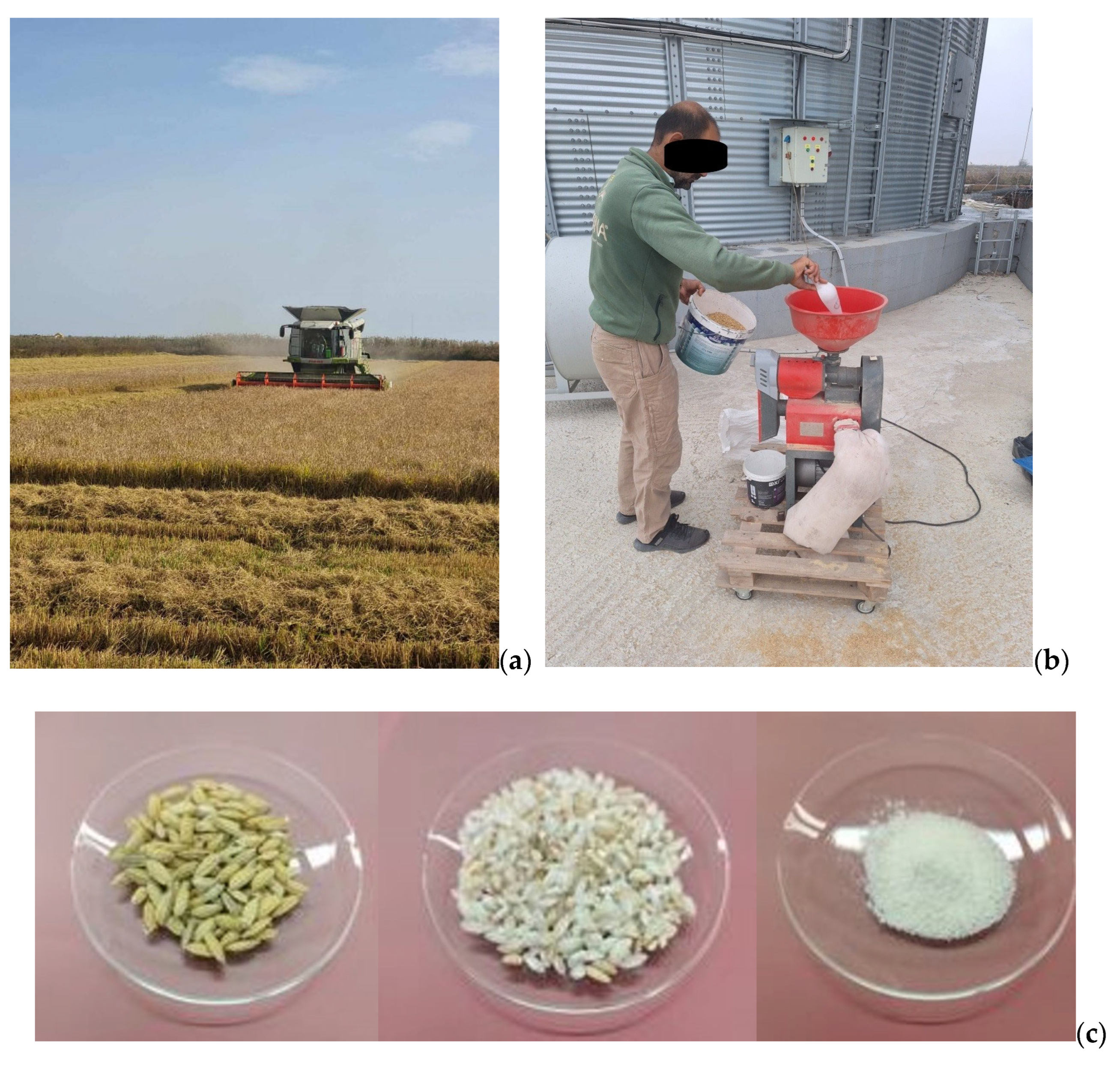 Foods 14 03163 g002 Foods 14 03163 g002