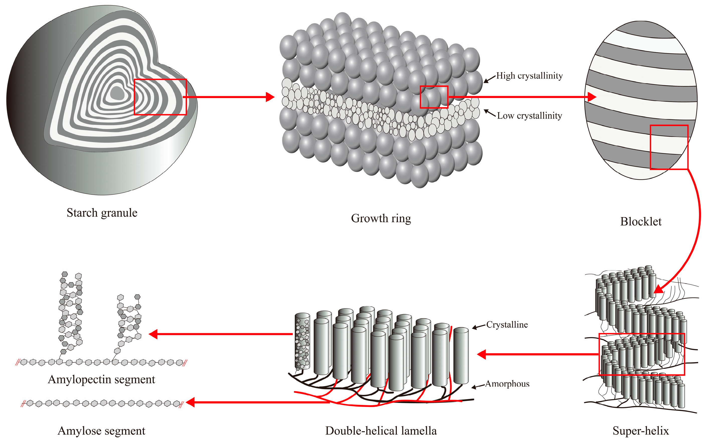 Foods 14 03179 g001 Foods 14 03179 g001