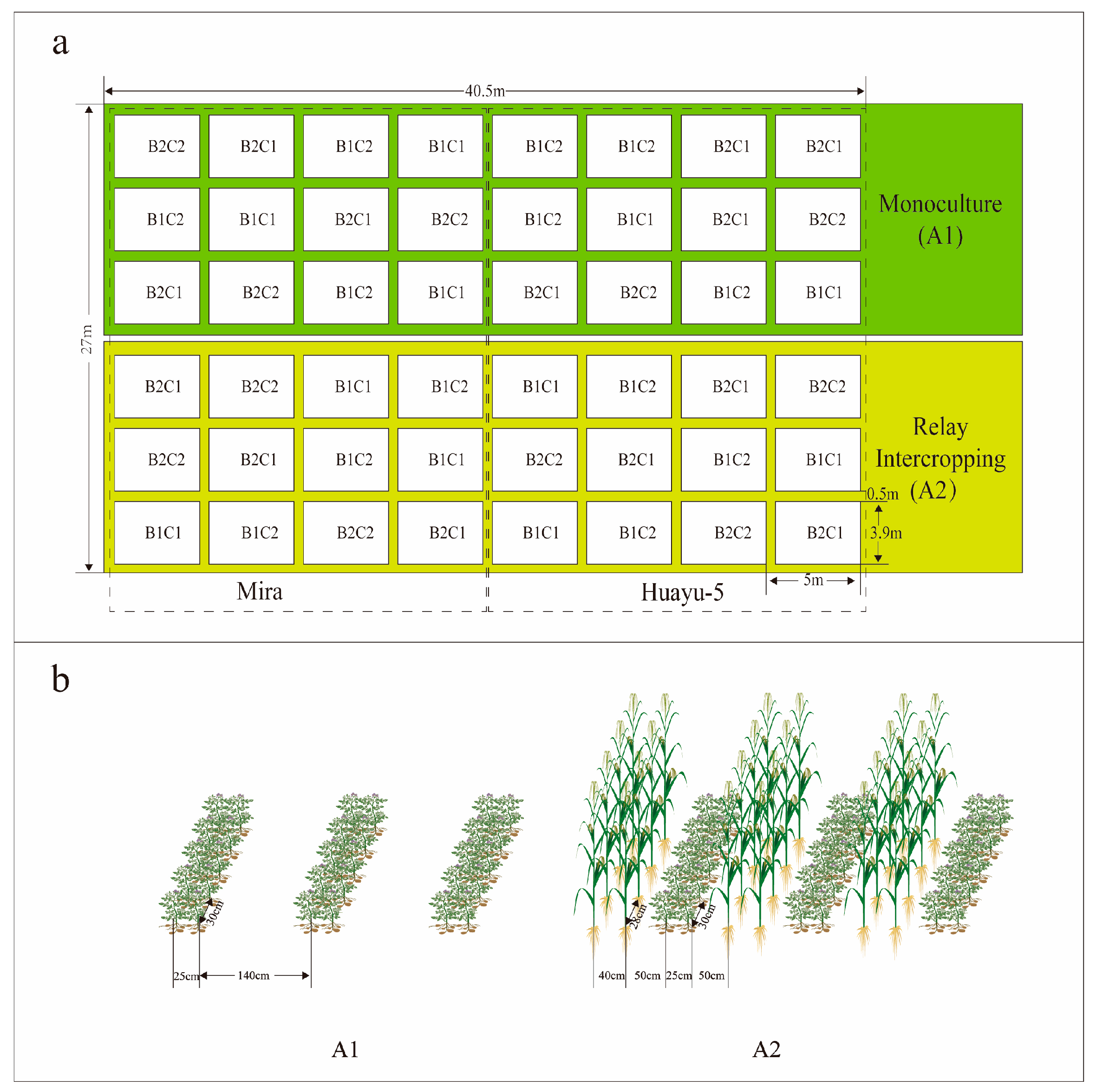 Foods 14 03179 g003 Foods 14 03179 g003