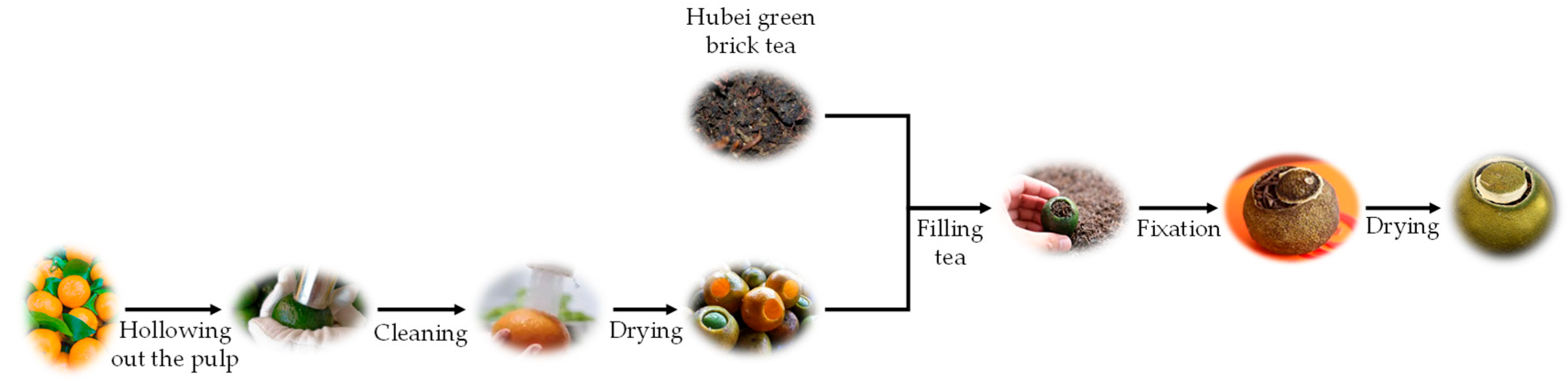 Foods 14 03181 g001 Foods 14 03181 g001