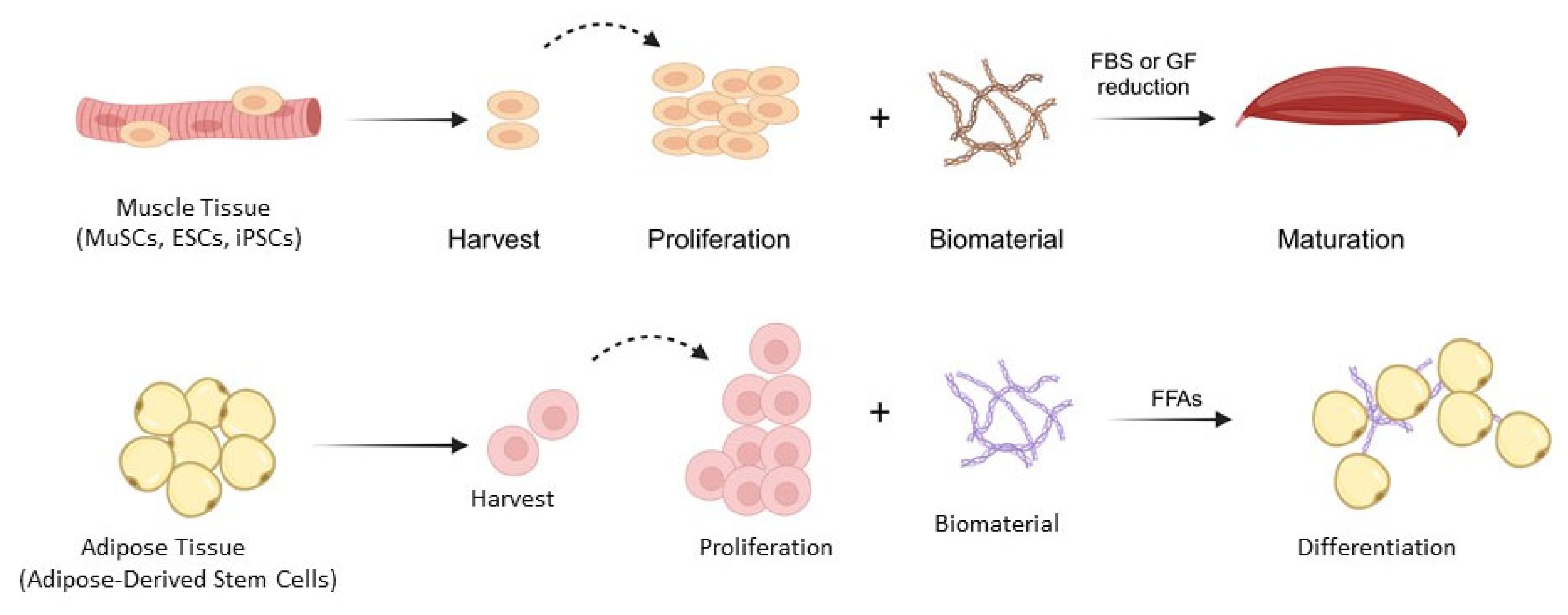 Foods 14 03183 g002 Foods 14 03183 g002