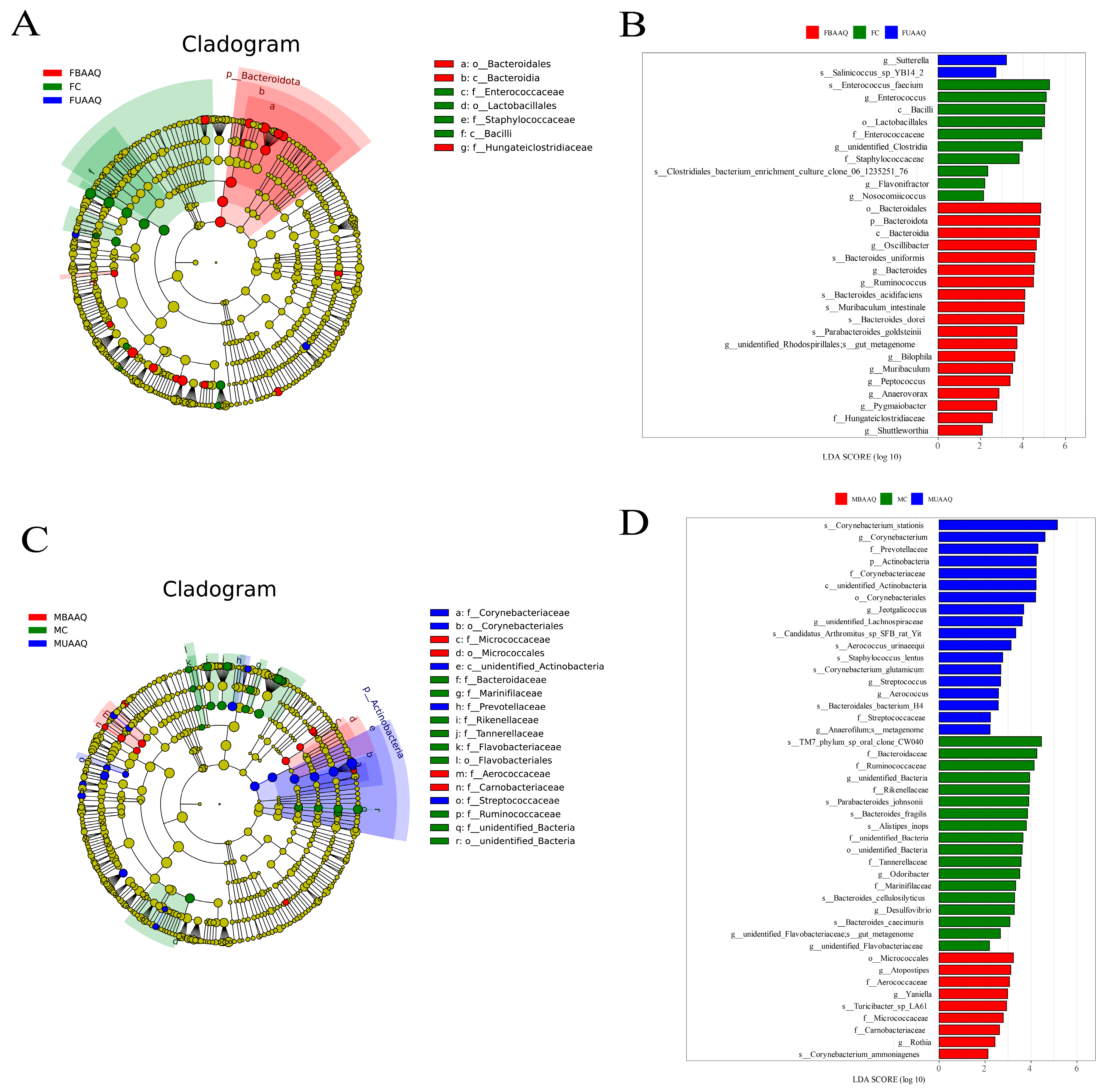 Foods 14 03185 g007 Foods 14 03185 g007