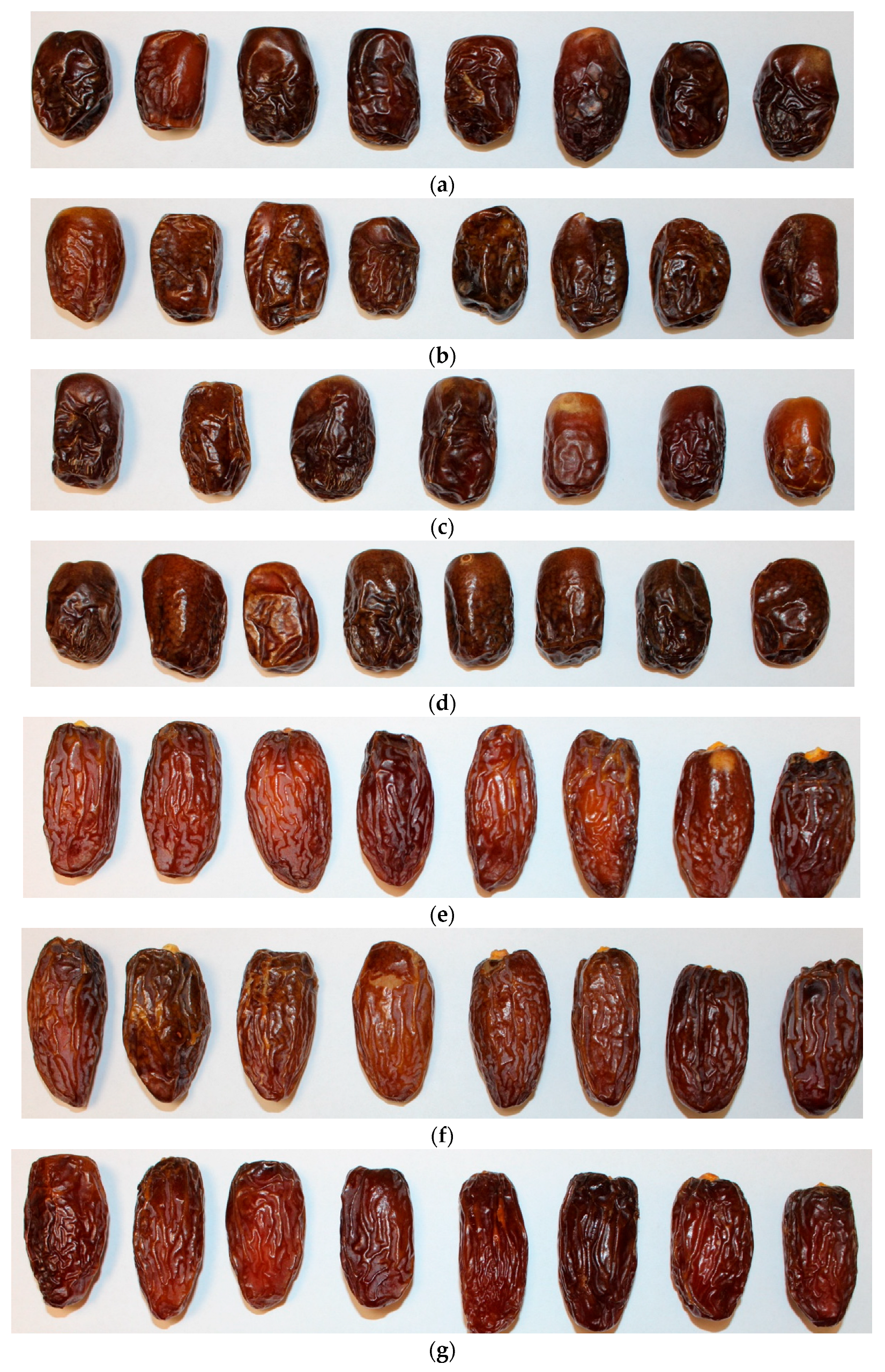 Foods 14 03189 g004a Foods 14 03189 g004a