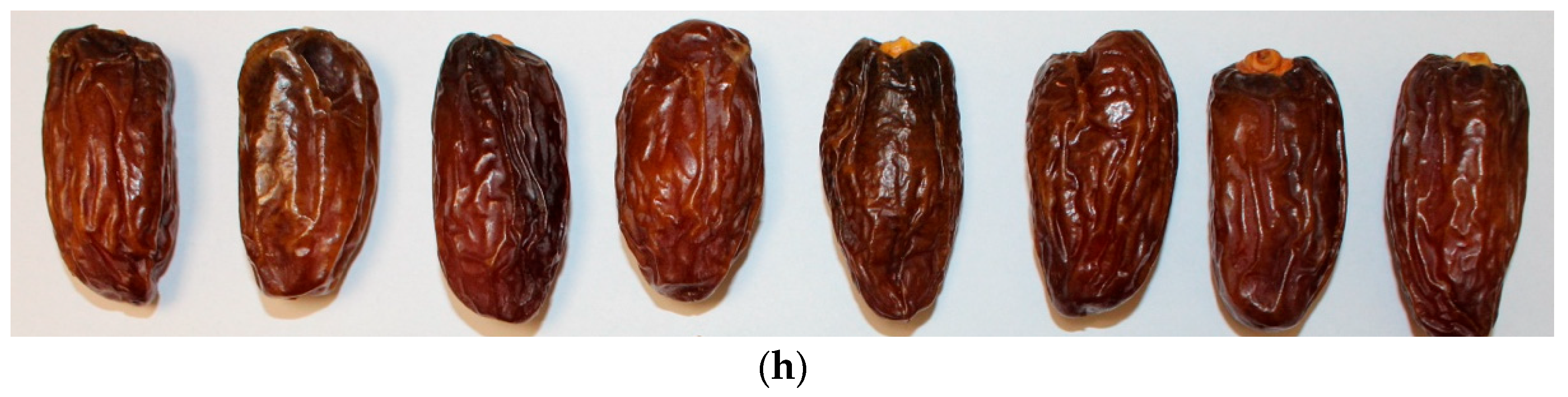 Foods 14 03189 g004b Foods 14 03189 g004b