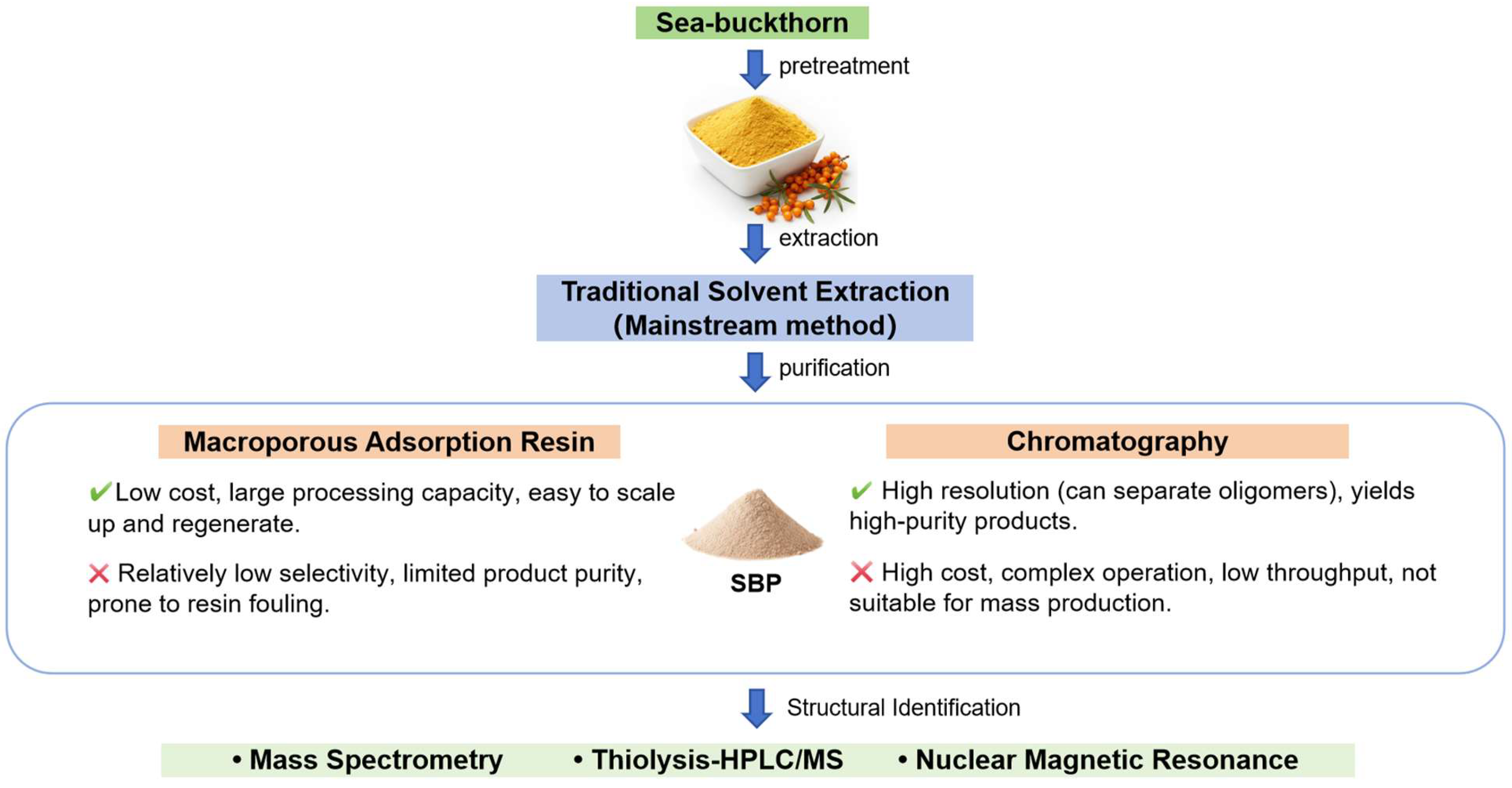 Foods 14 03203 g001 Foods 14 03203 g001