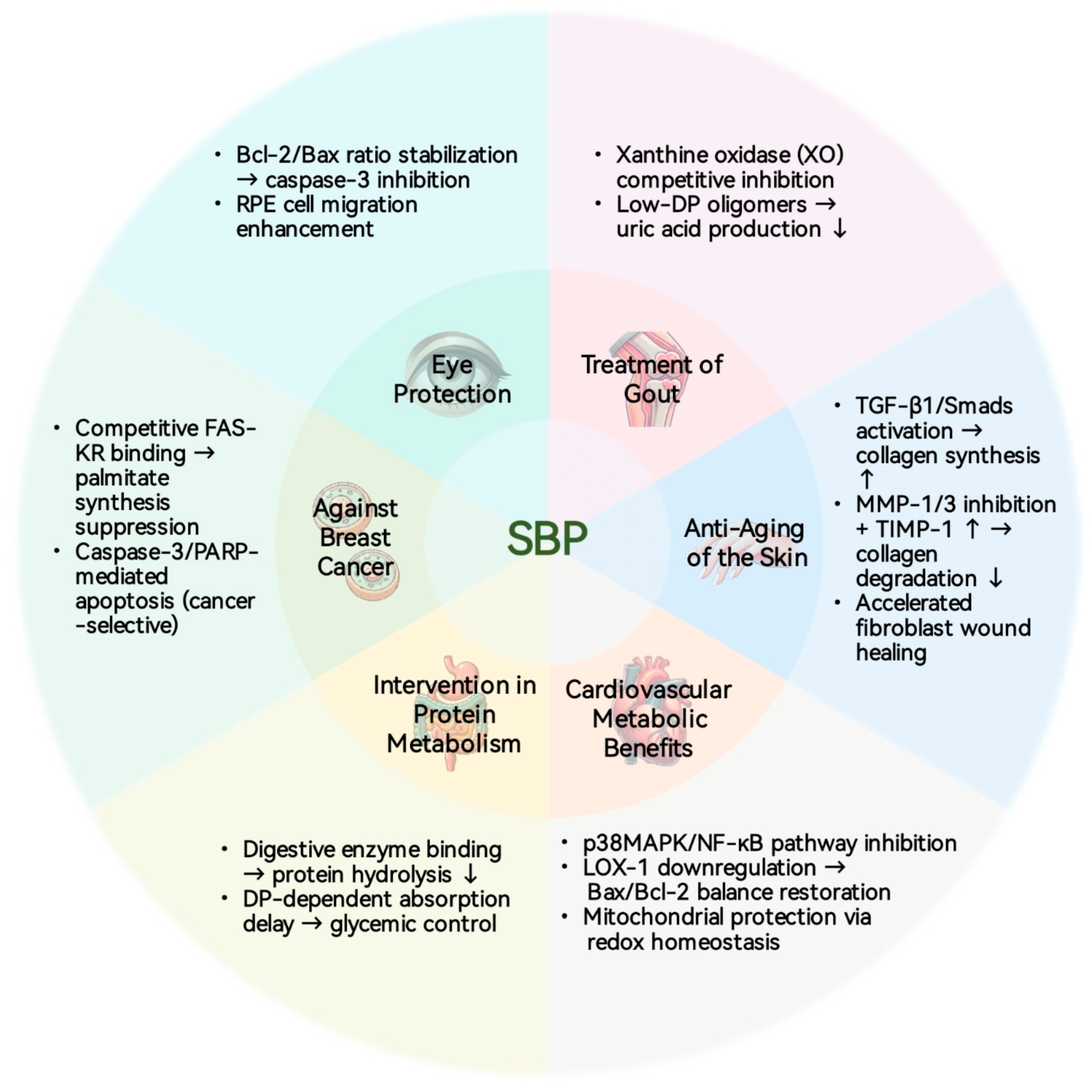 Foods 14 03203 g003 Foods 14 03203 g003