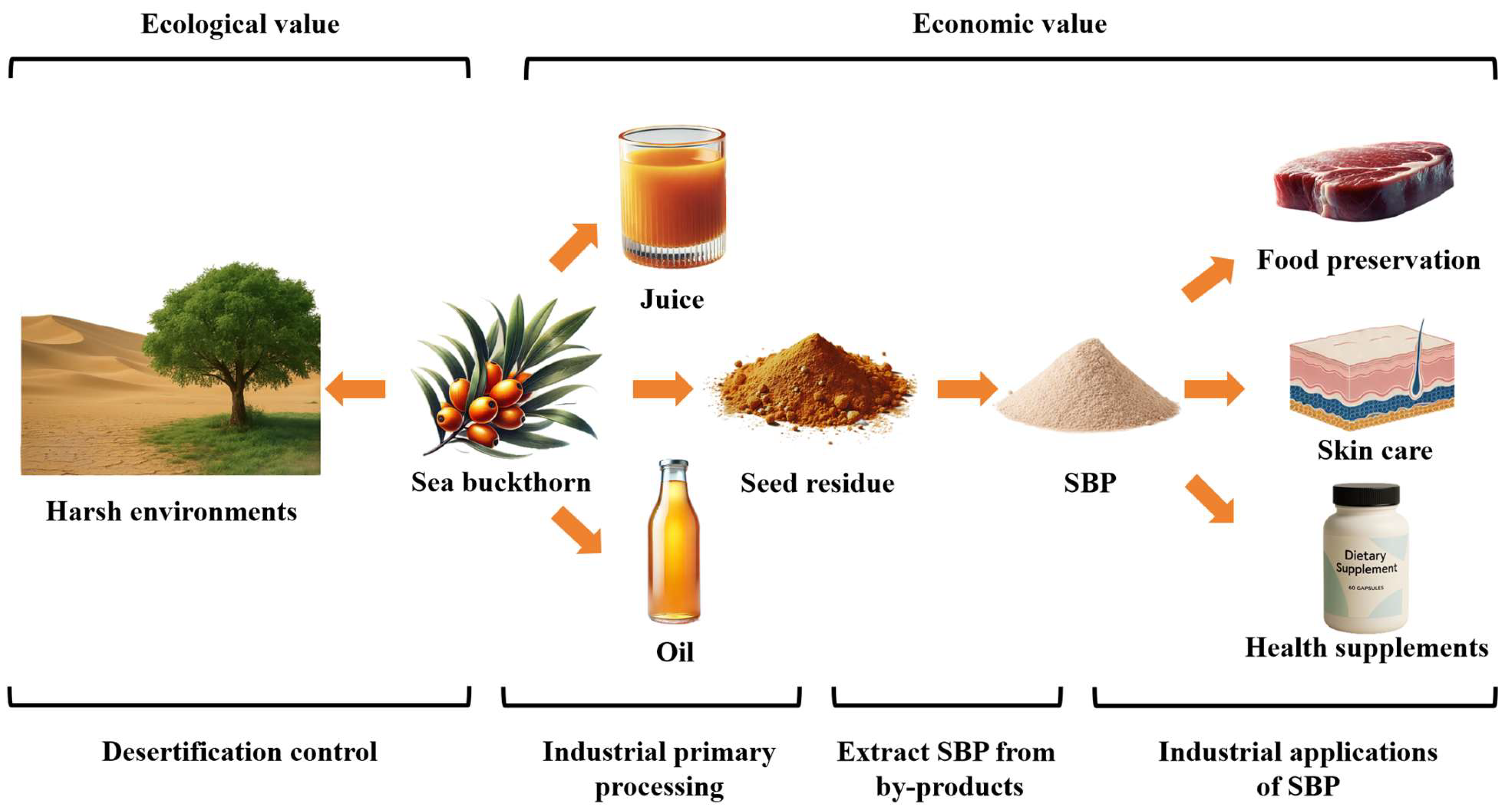 Foods 14 03203 g004 Foods 14 03203 g004