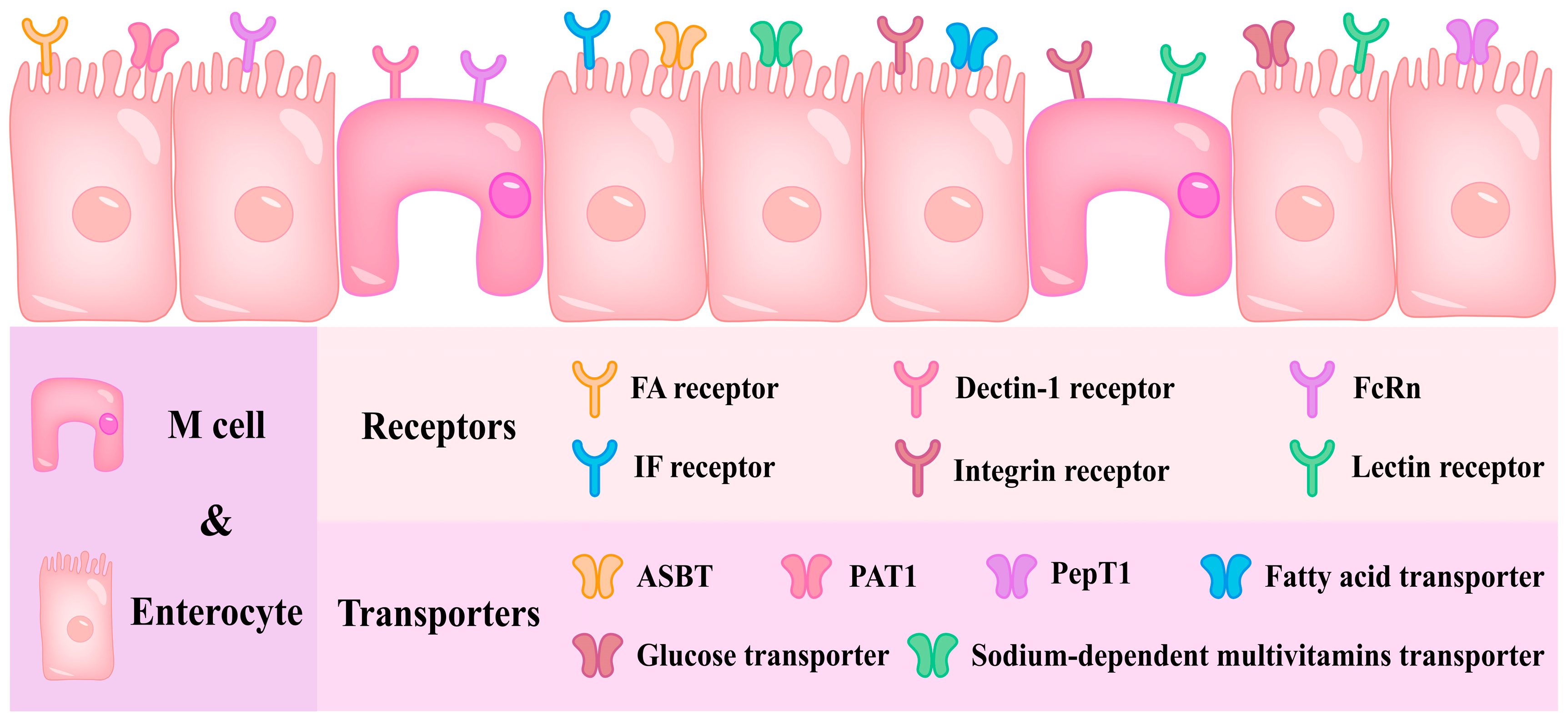 Foods 14 03234 g004 Foods 14 03234 g004