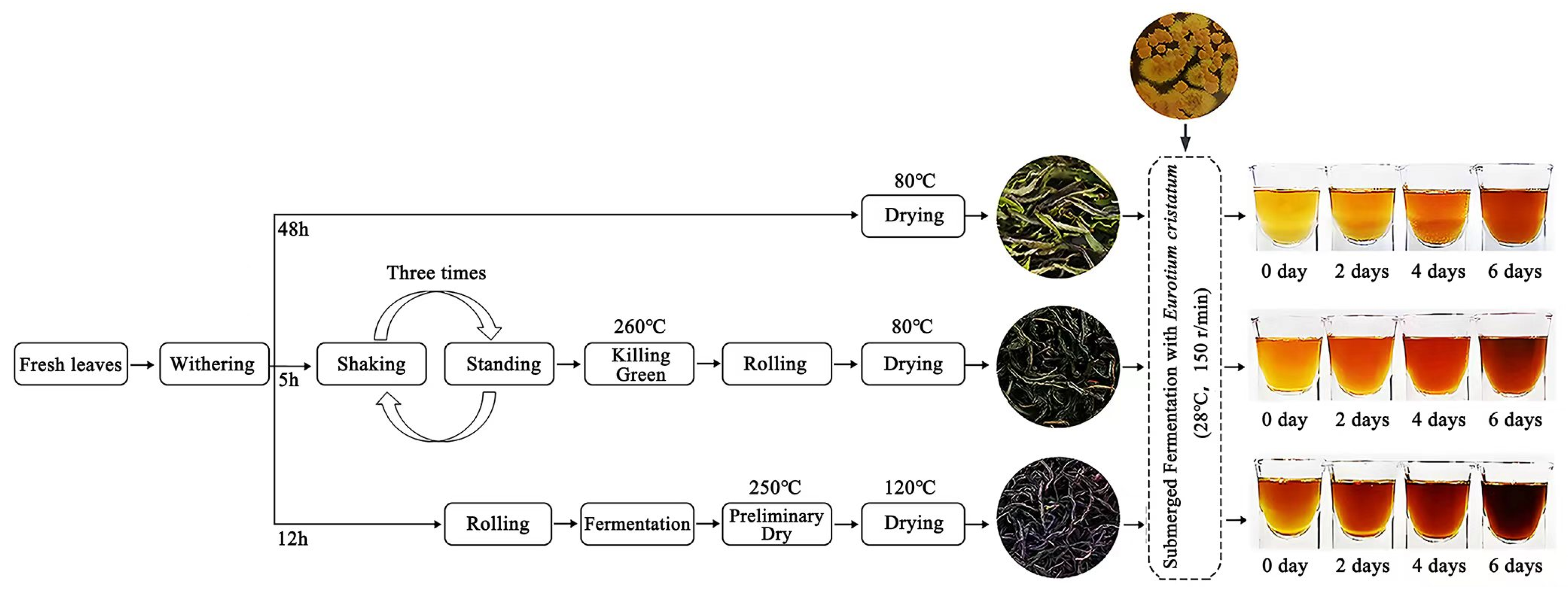 その他 one room The Sims Resource | Bedroom Minh