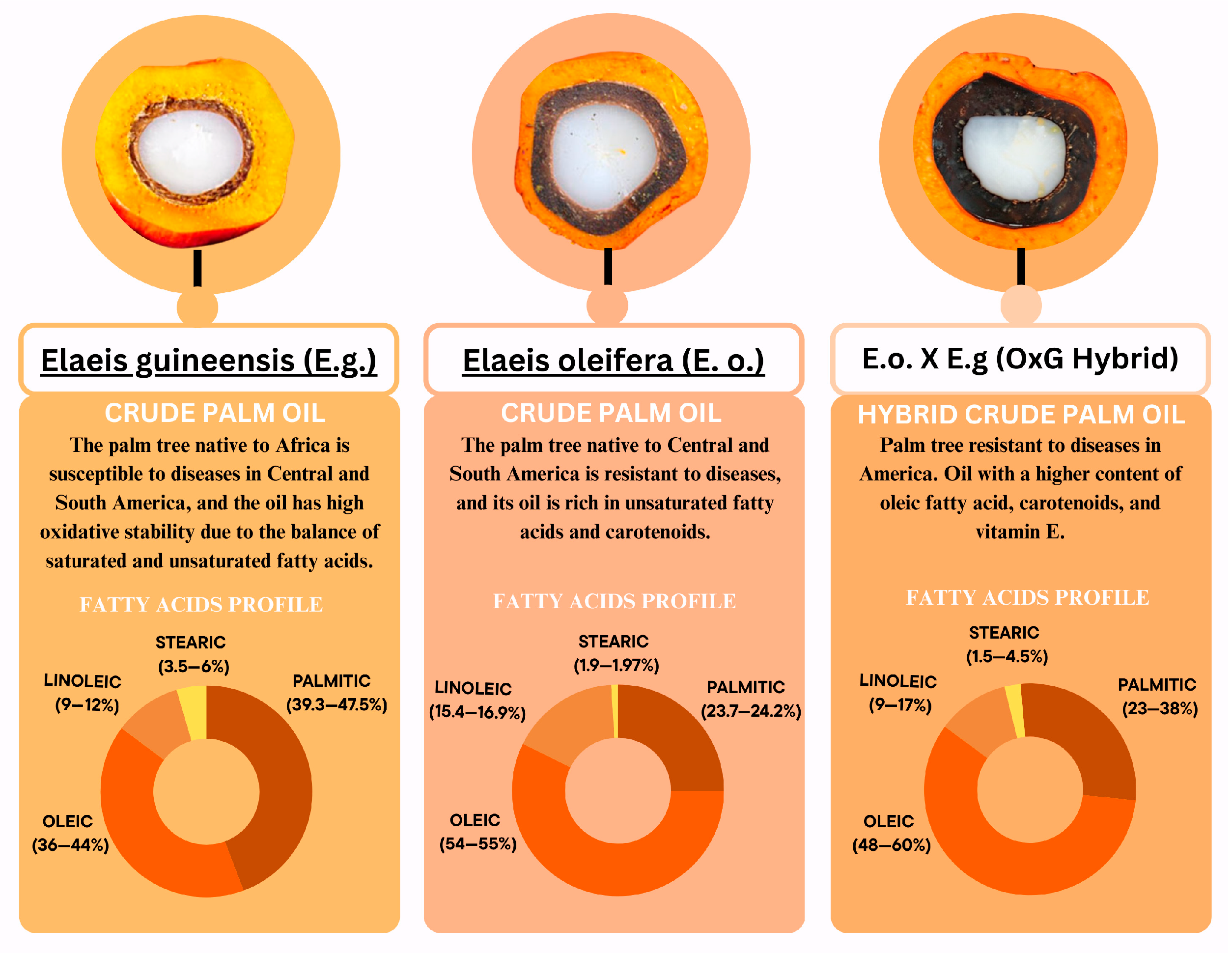 Foods 14 03242 g001 Foods 14 03242 g001