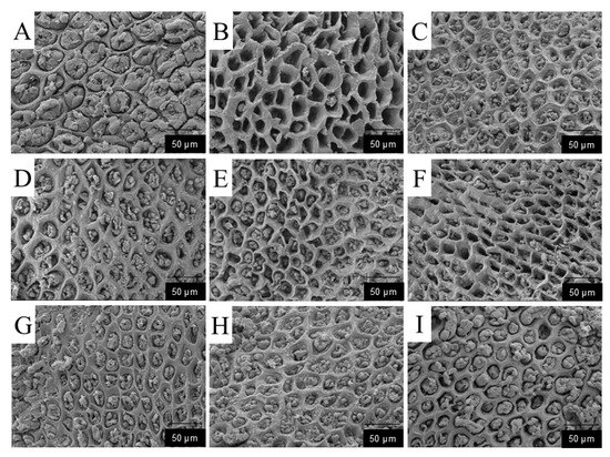 え。 Anti-Inflammatory and Antioxidant Effects of Crude