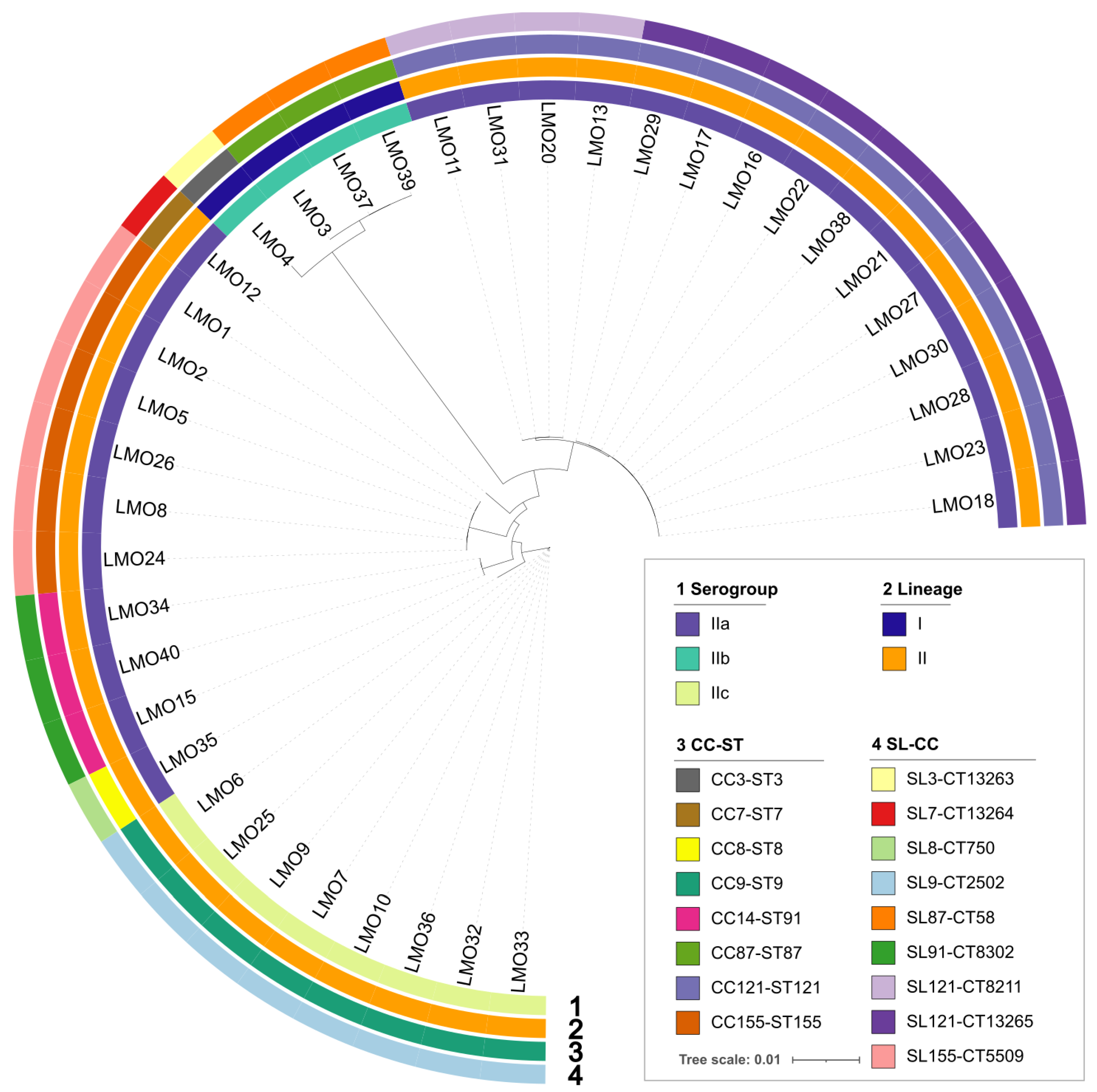 Foods 14 03260 g001 Foods 14 03260 g001